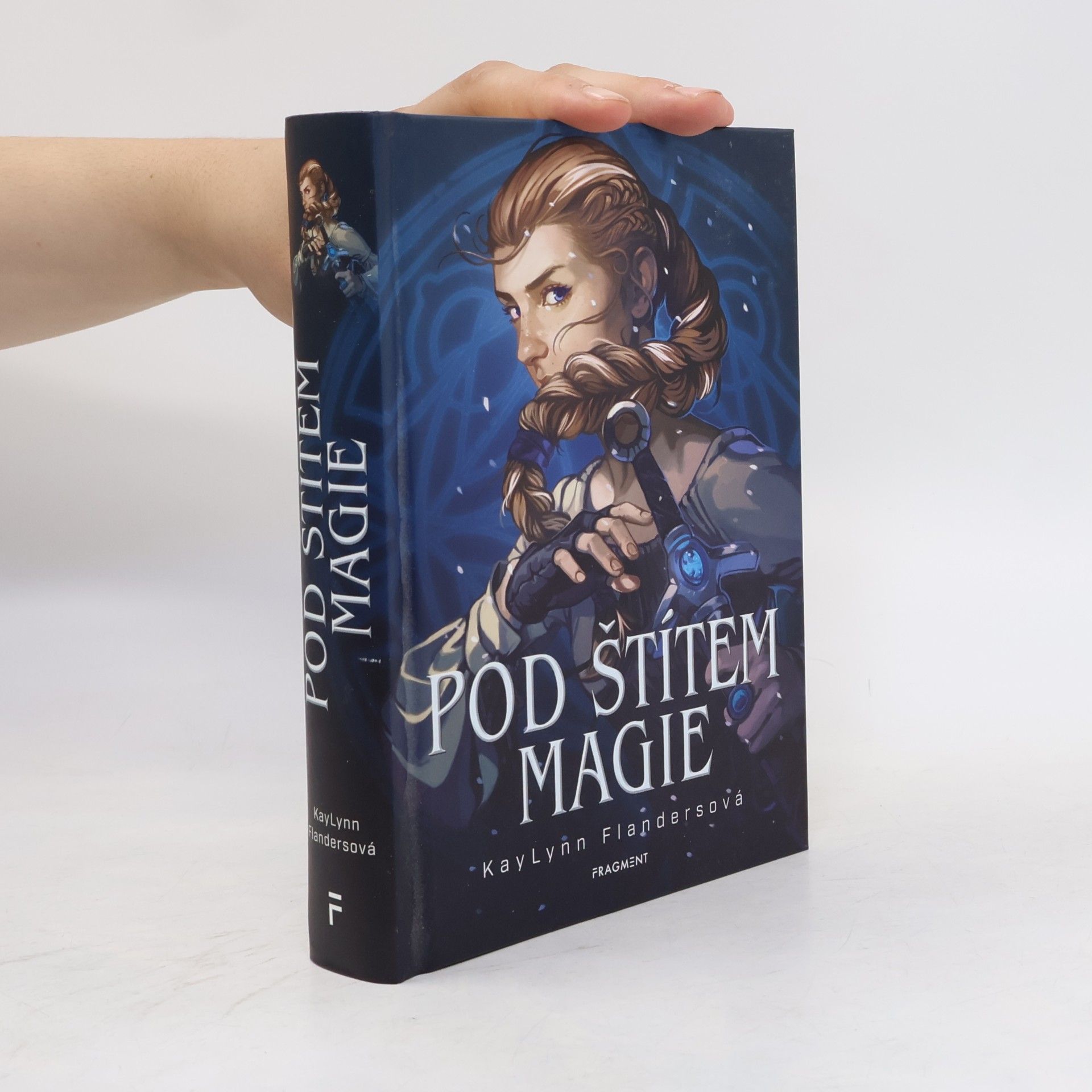 KayLynn Flanders Pod štítem magie