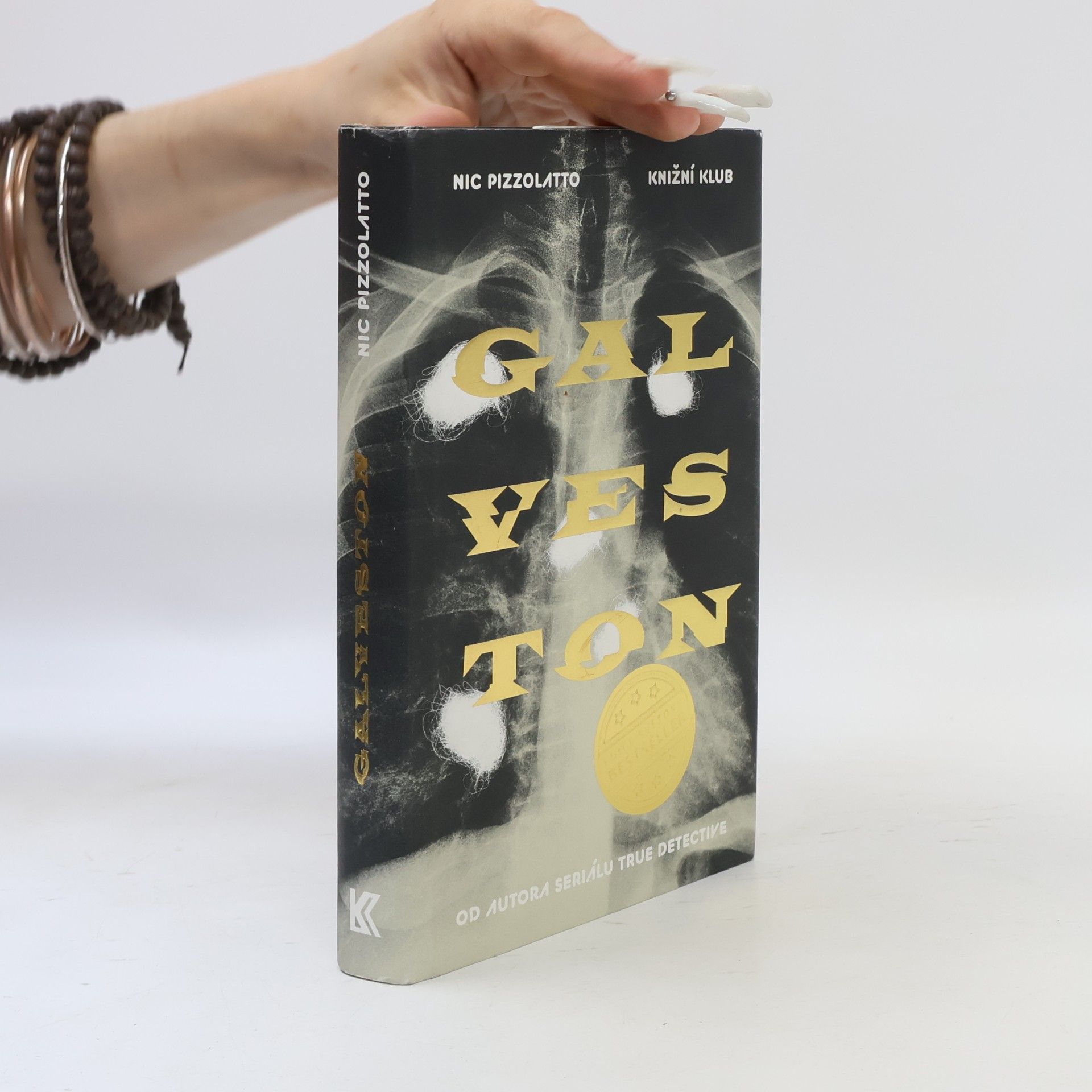 Nic Pizzolatto Galveston