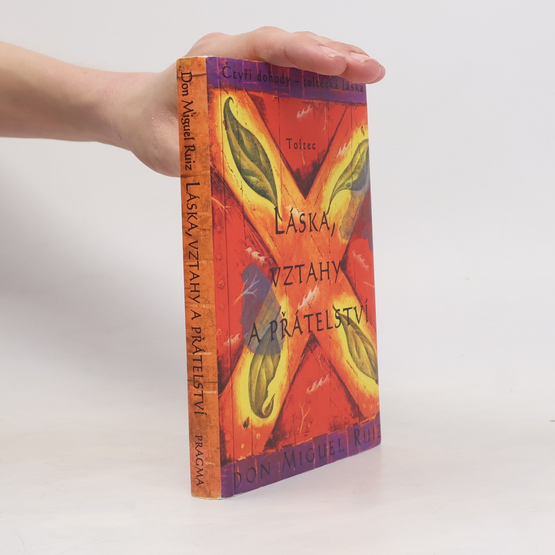 Don Miguel Ruiz Láska, vztahy a přátelství