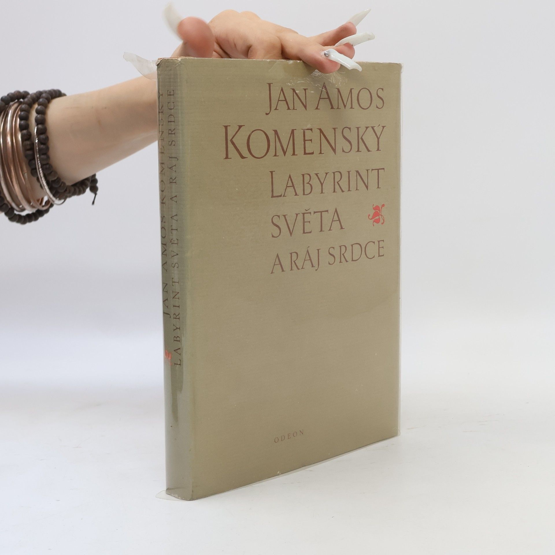 Jan Amos Komenský Labyrint světa a ráj srdce