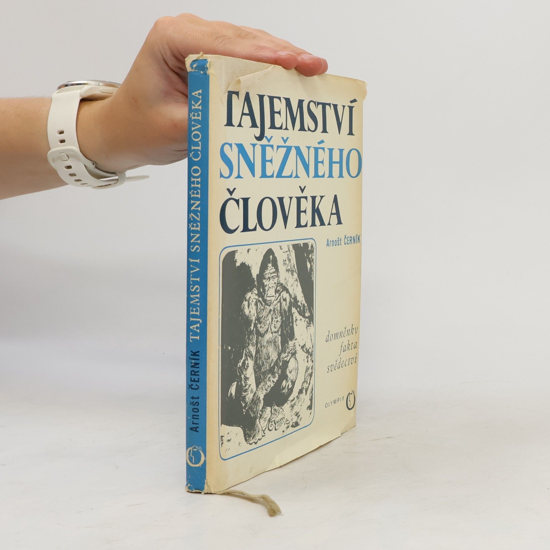 Arnošt Černík Tajemství sněžného člověka