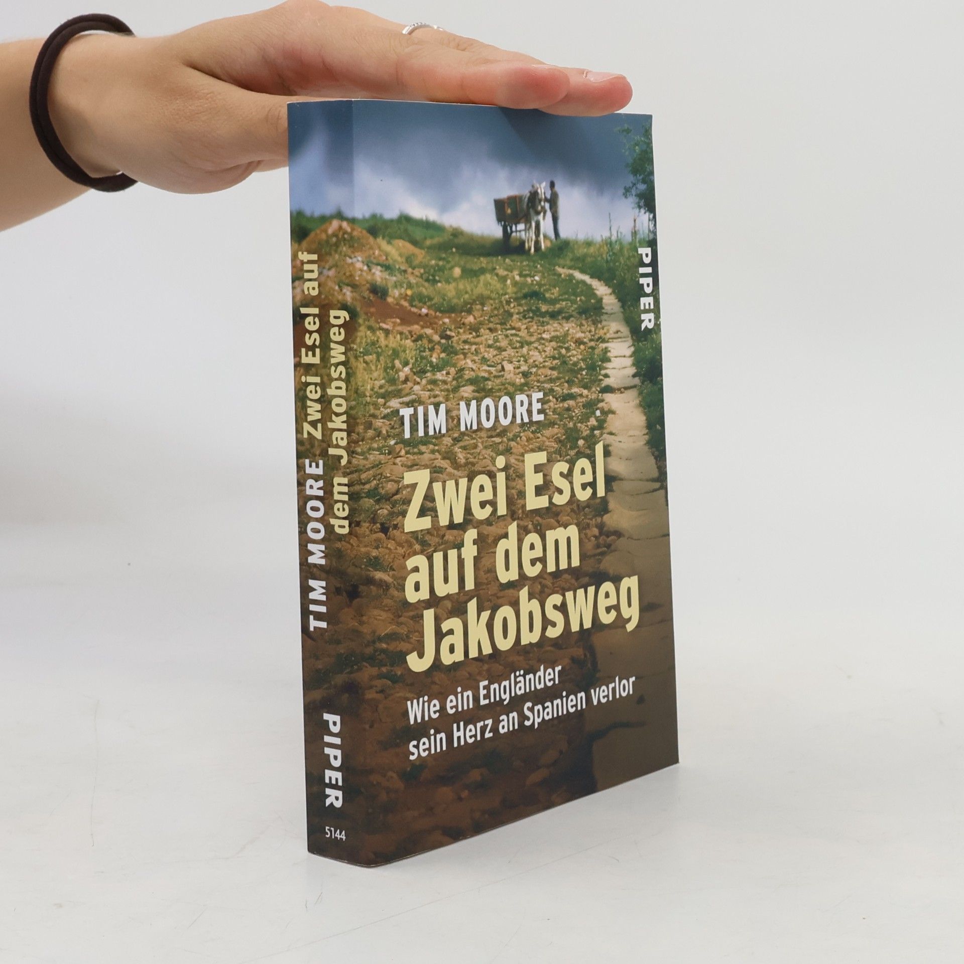 Tim Moore Zwei Esel auf dem Jakobsweg