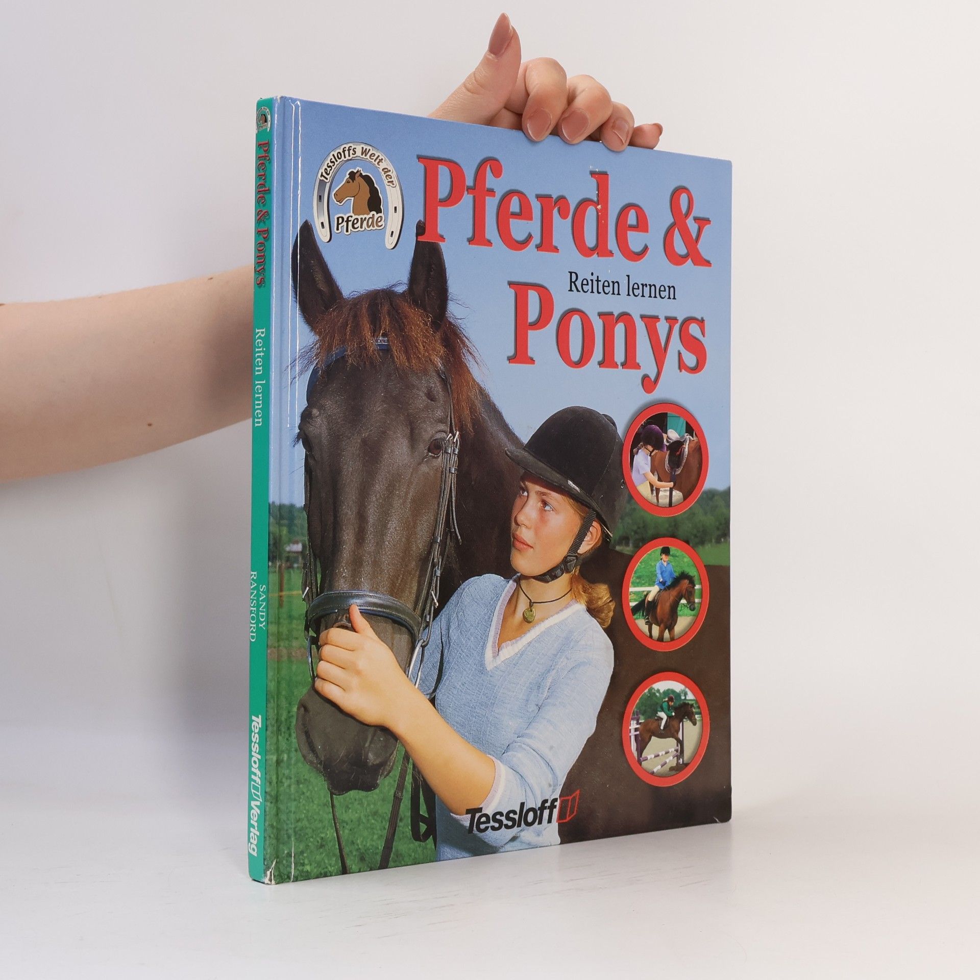 Sandy Ransford Pferde & Ponys