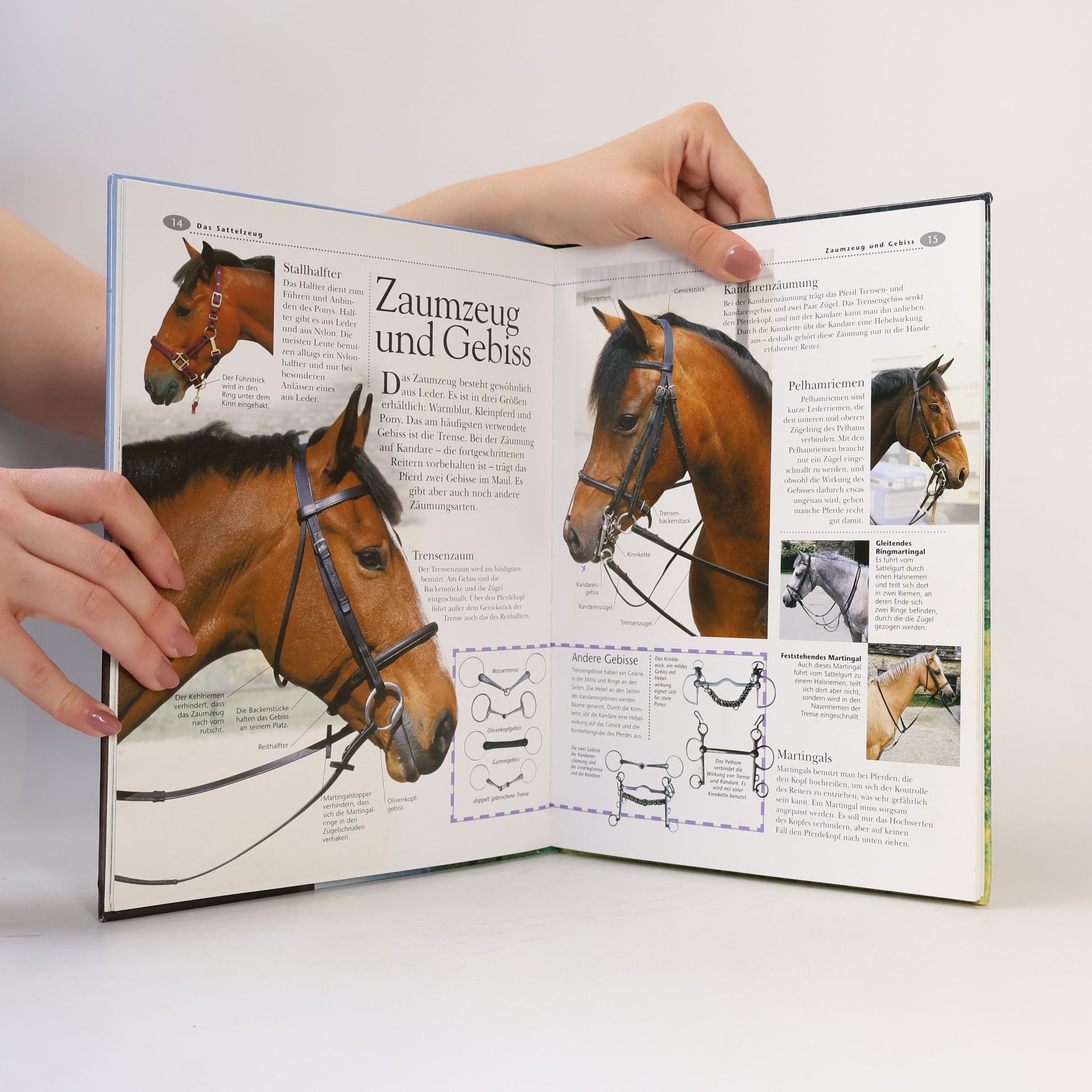Autorenkollektiv Pferde & Ponys