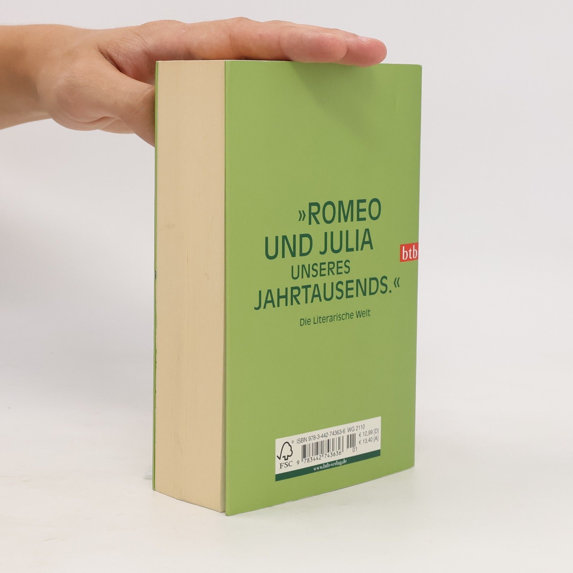 Haruki Murakami 1Q84. Buch 3
