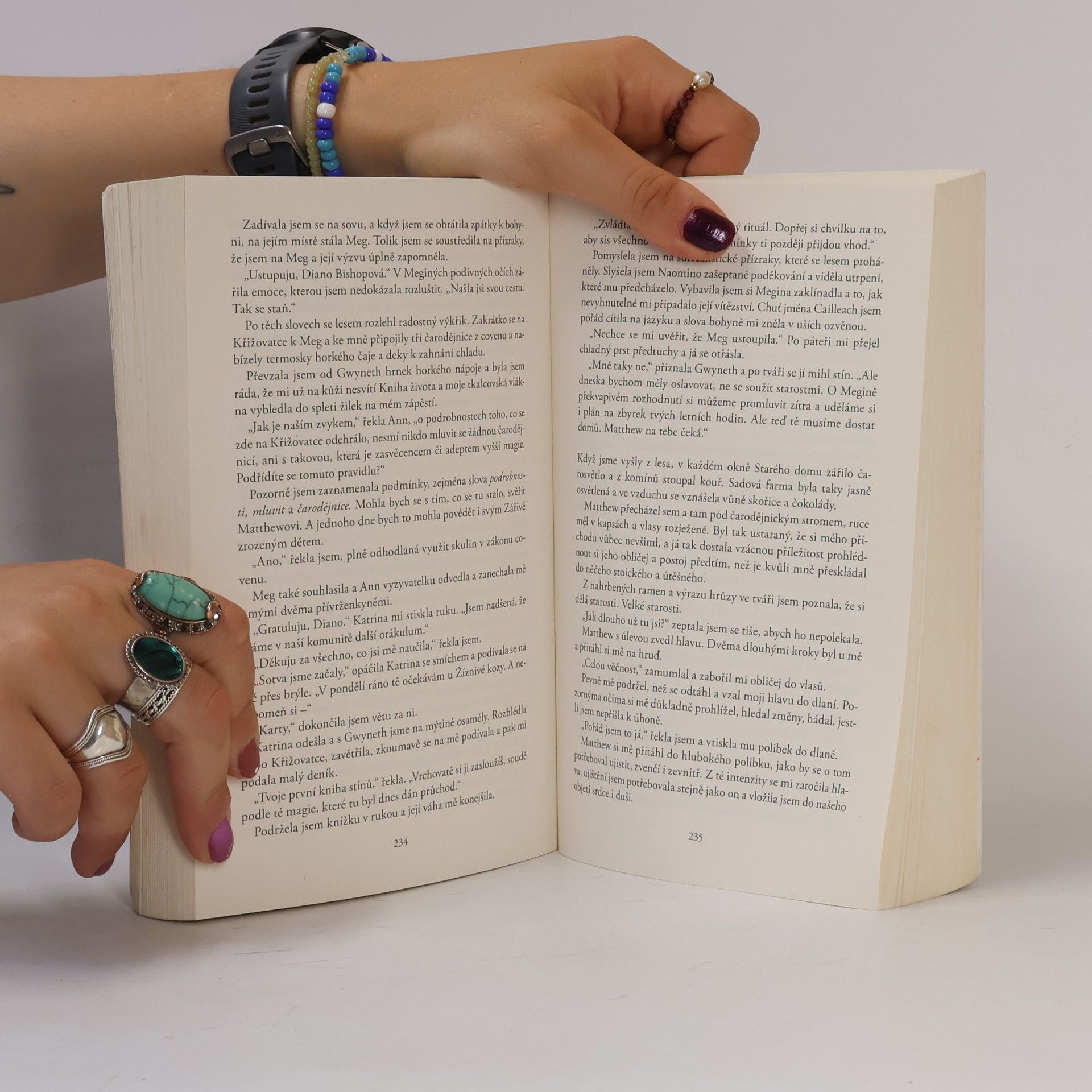 Deborah Harkness Sudba černého ptáka