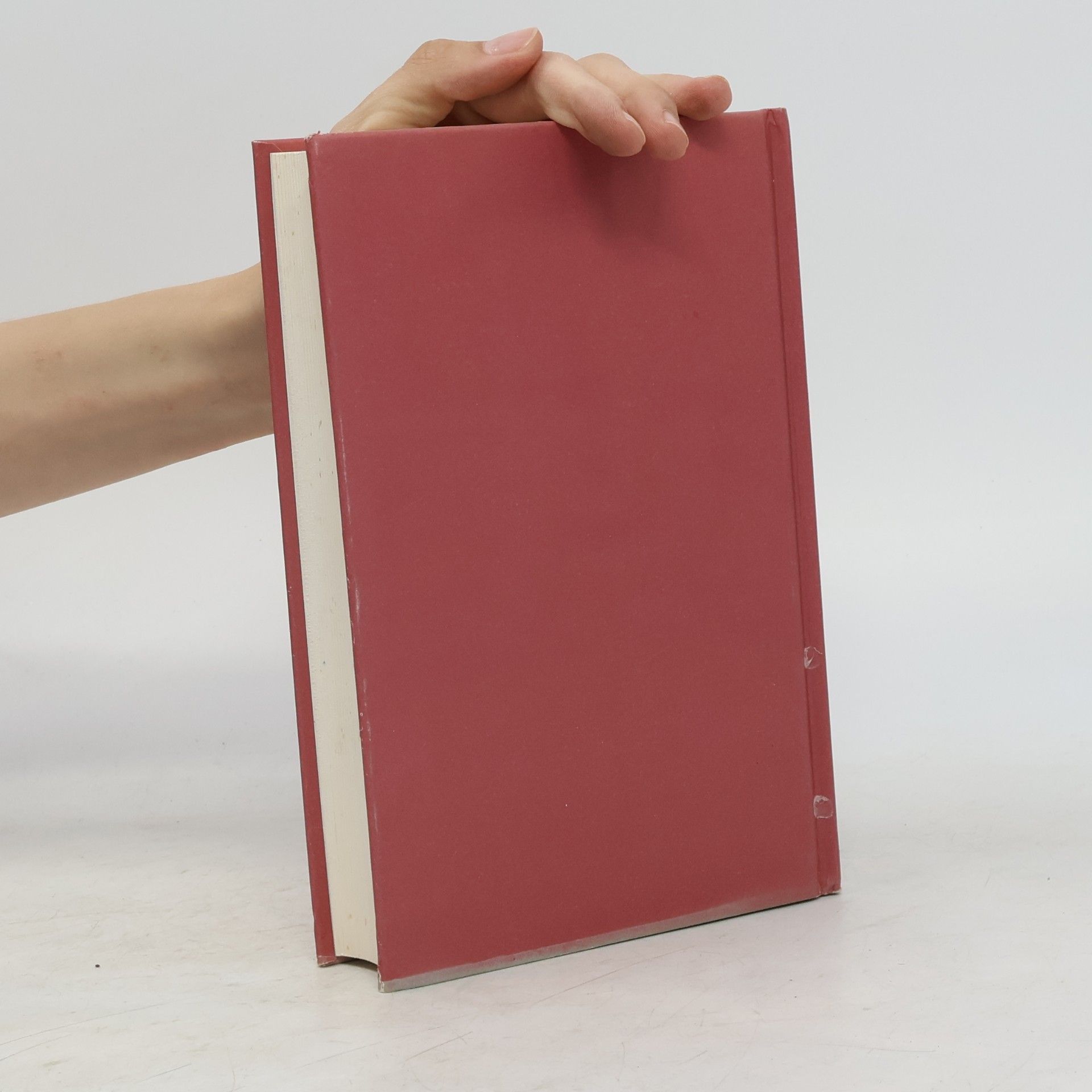 Rose Tremain Hudba a ticho