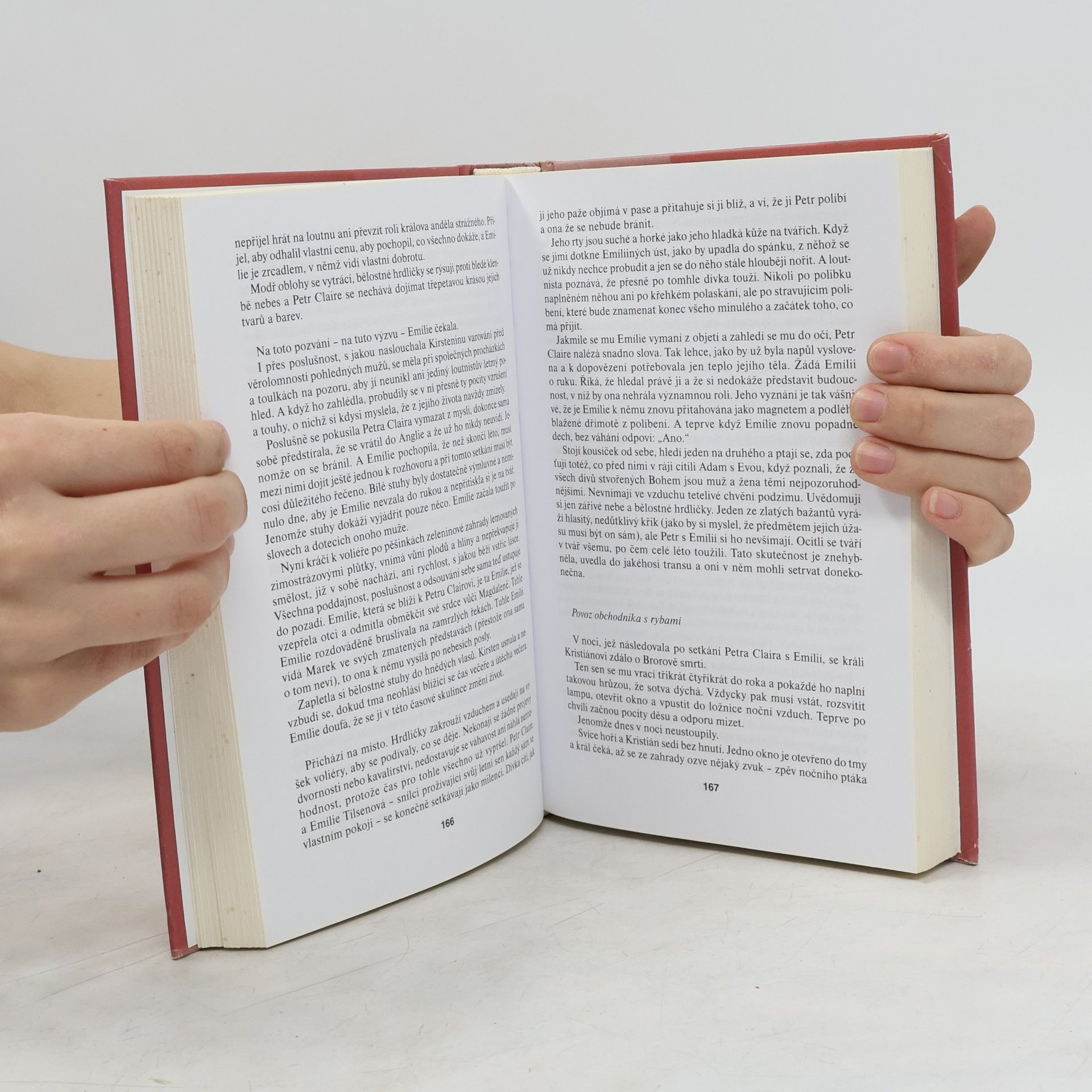Rose Tremain Hudba a ticho