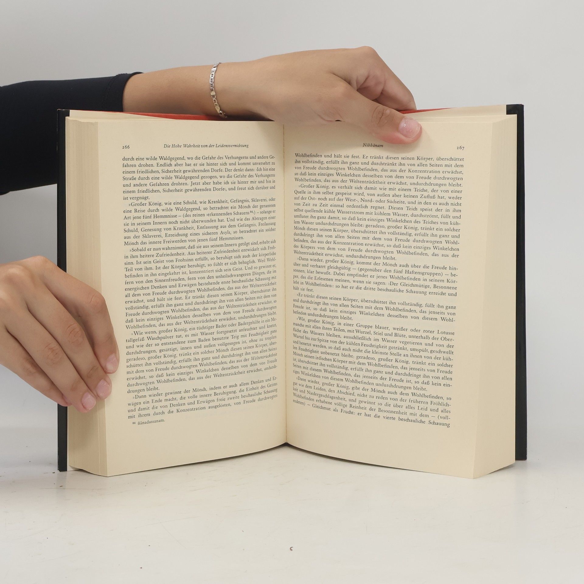 Georg Grimm Die Lehre des Buddho