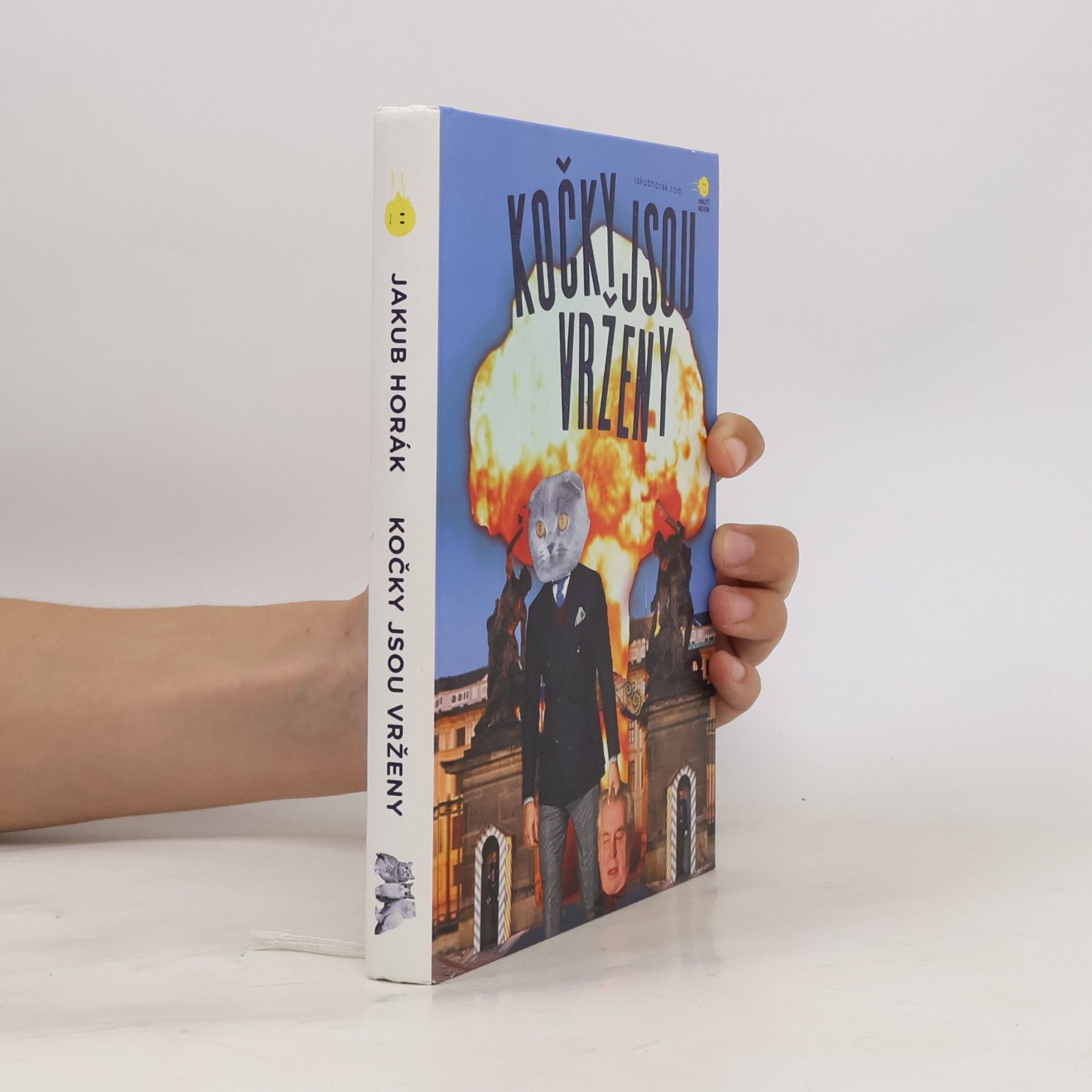 Jakub Horák Kočky jsou vrženy: Fantastický román