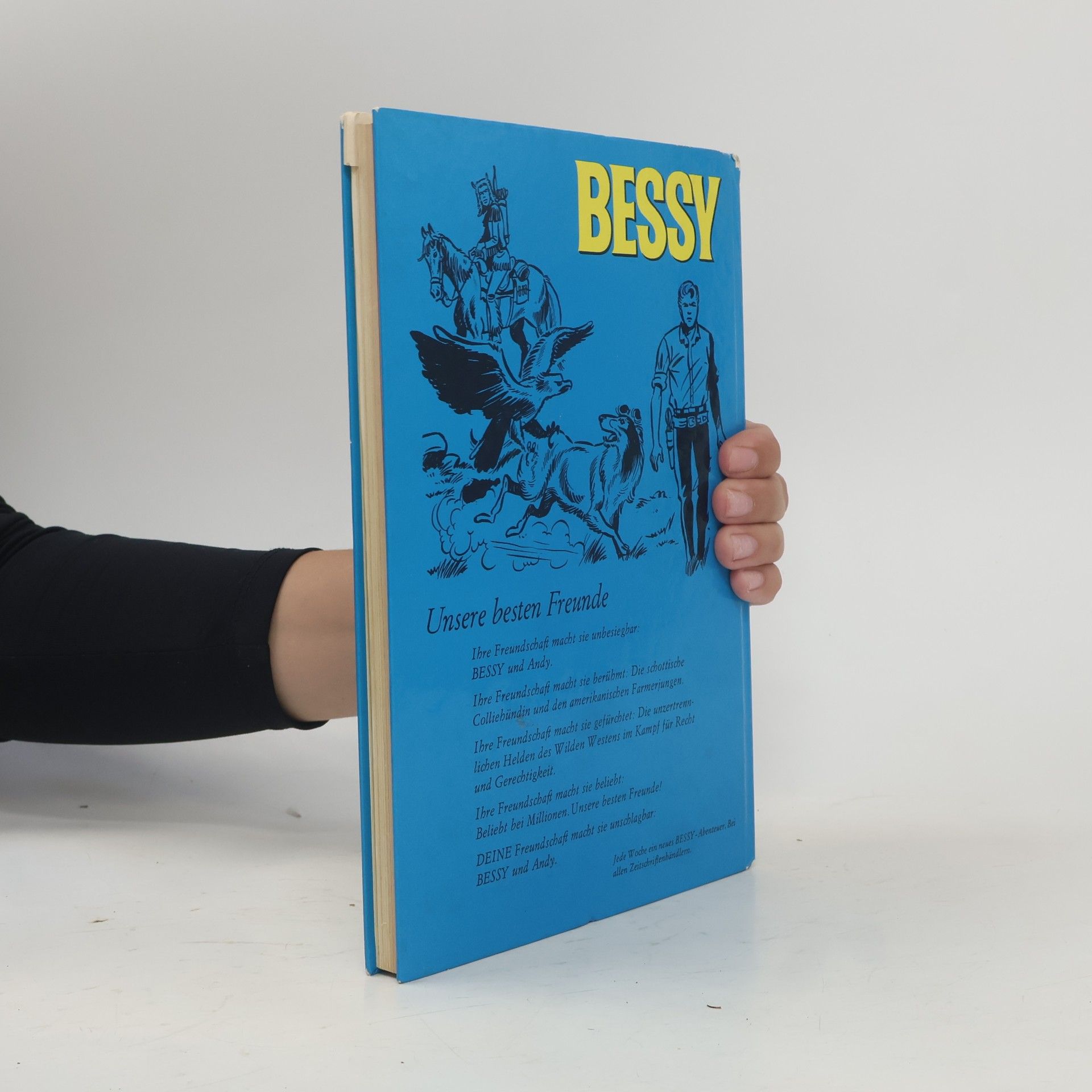 Autorenkollektiv Das grosse Bessy-Buch 18
