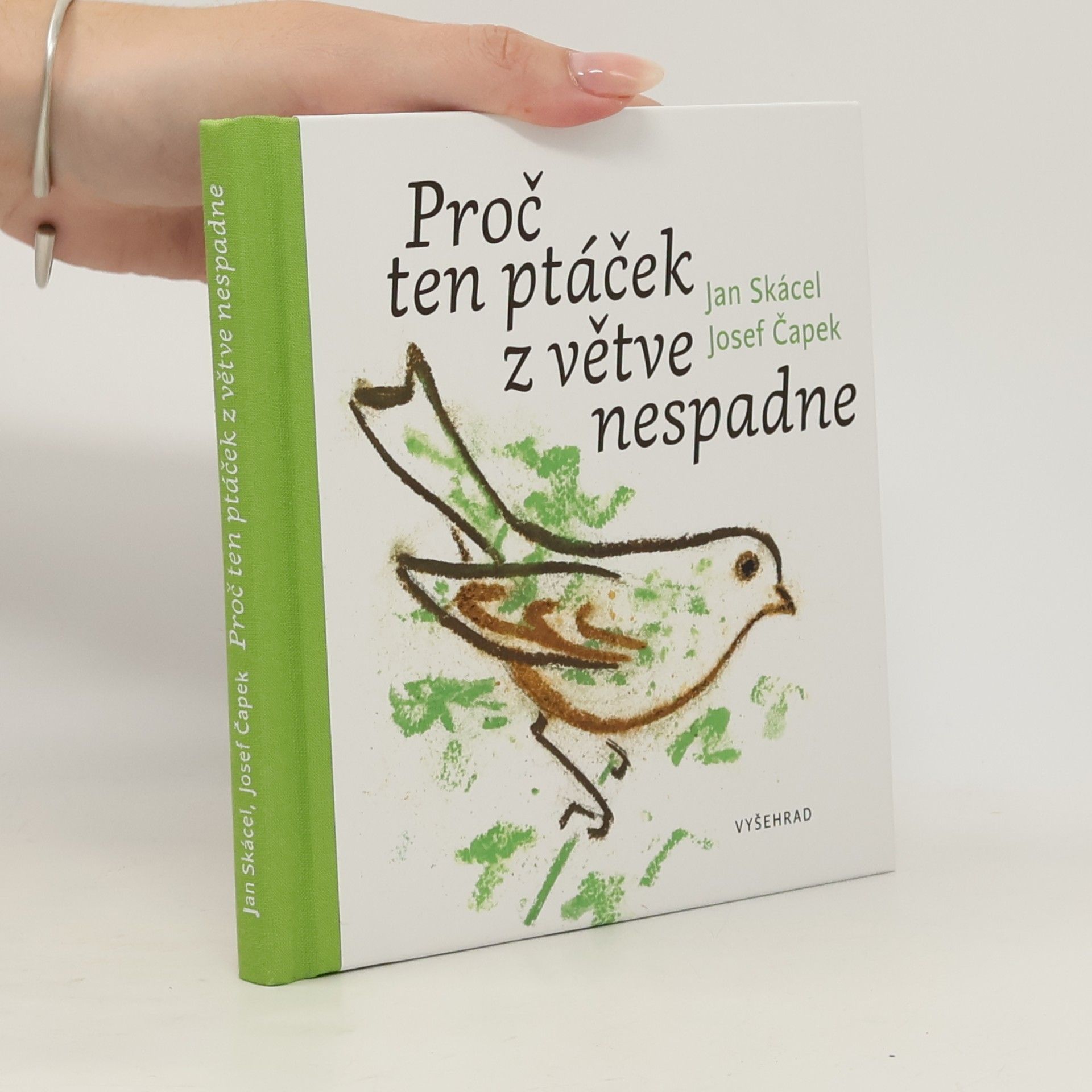 Proč ten ptáček z větve nespadne
