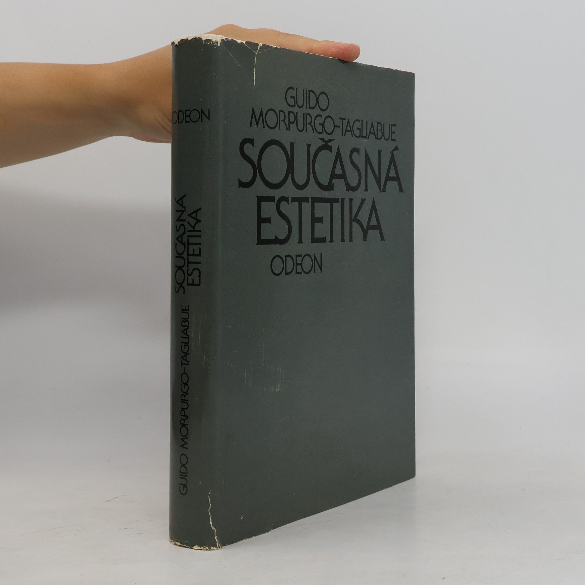 Guido Morpurgo Tagliabue Současná estetika