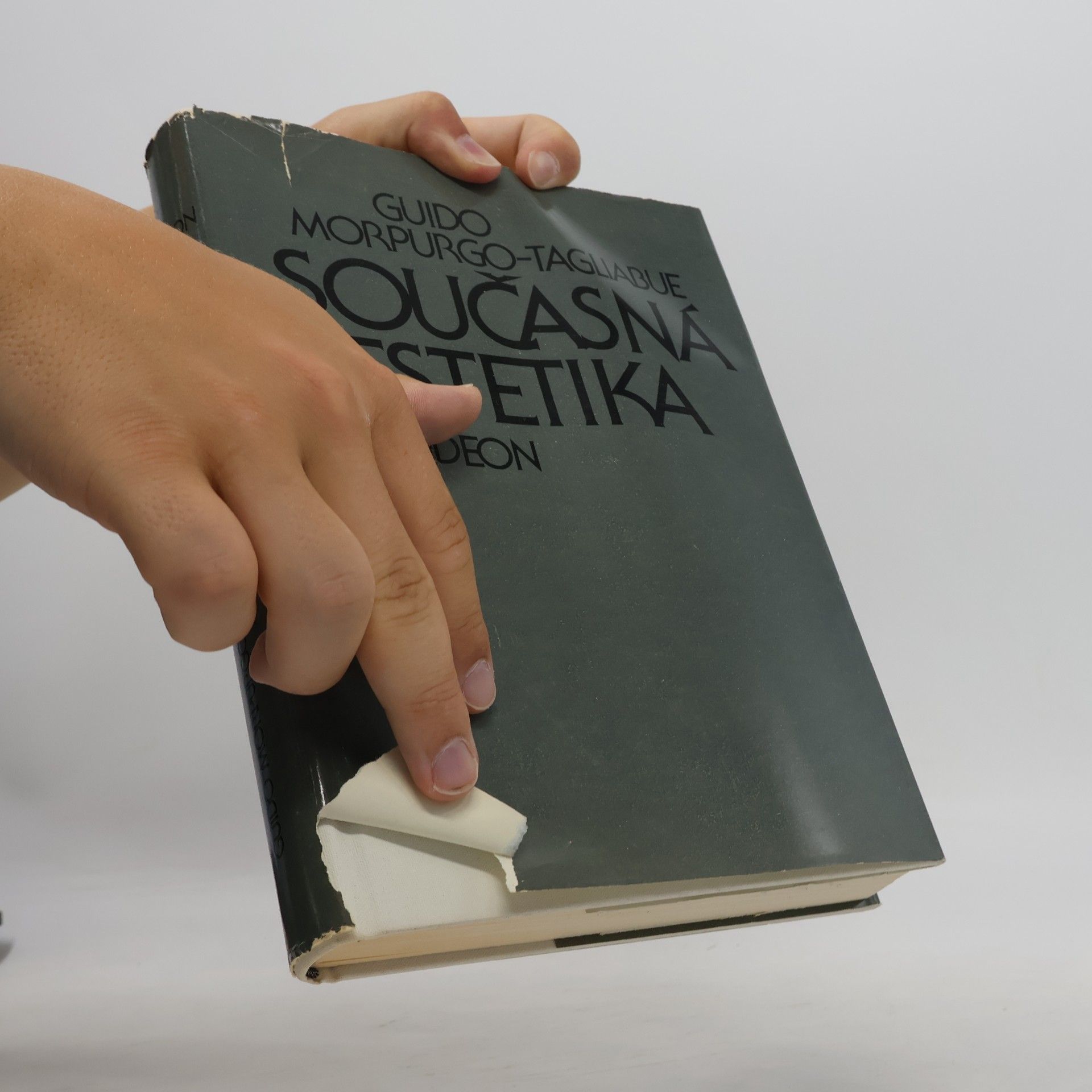 Guido Morpurgo Tagliabue Současná estetika