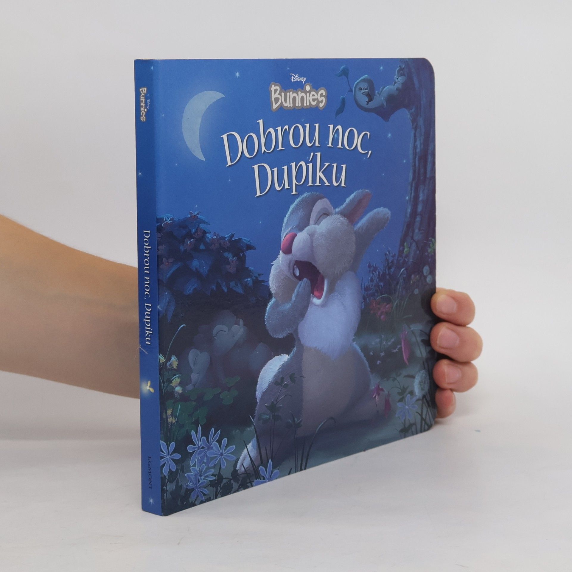 Kitty Richards Dobrou noc, Dupíku