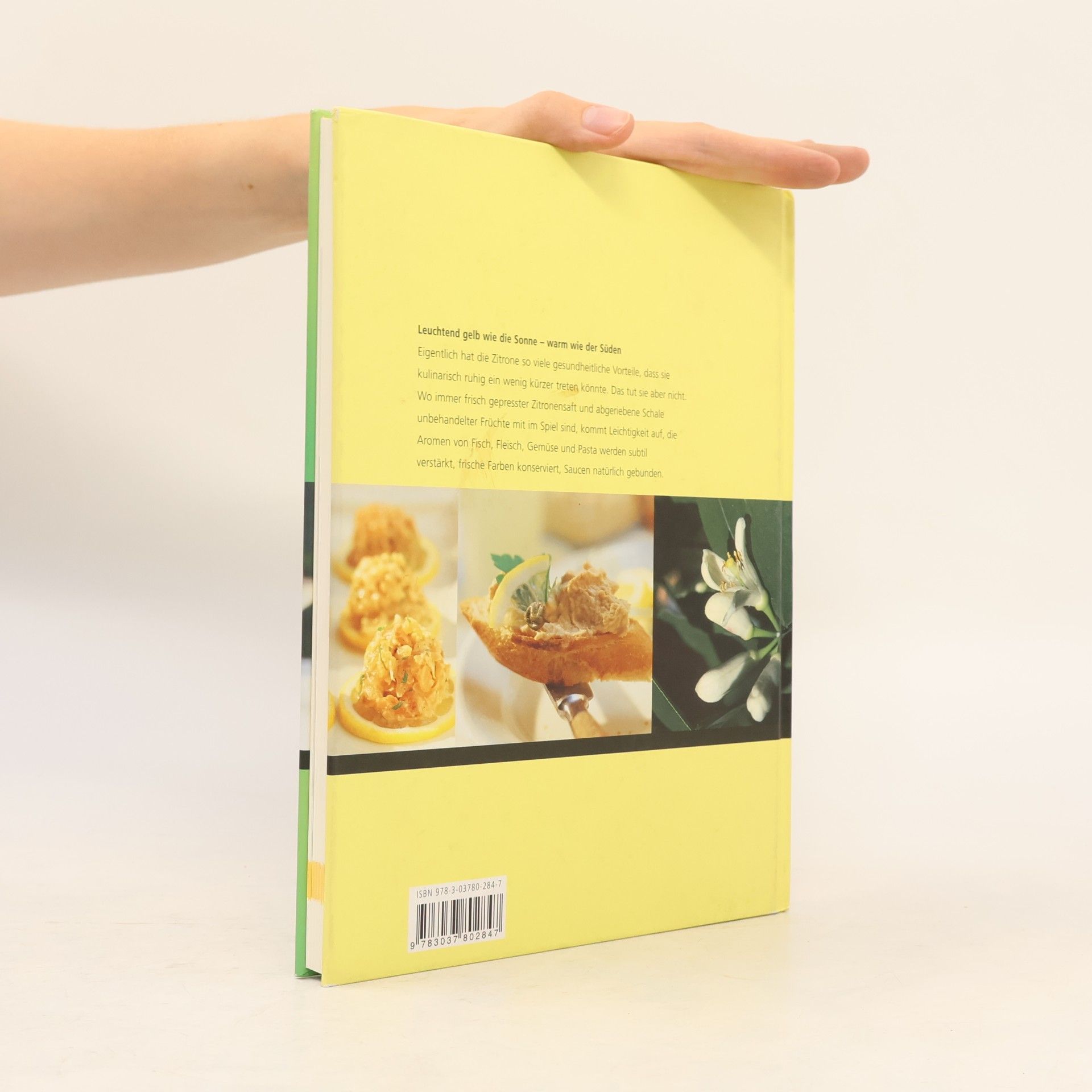 Erica Bänziger Das goldene Buch der Zitrone