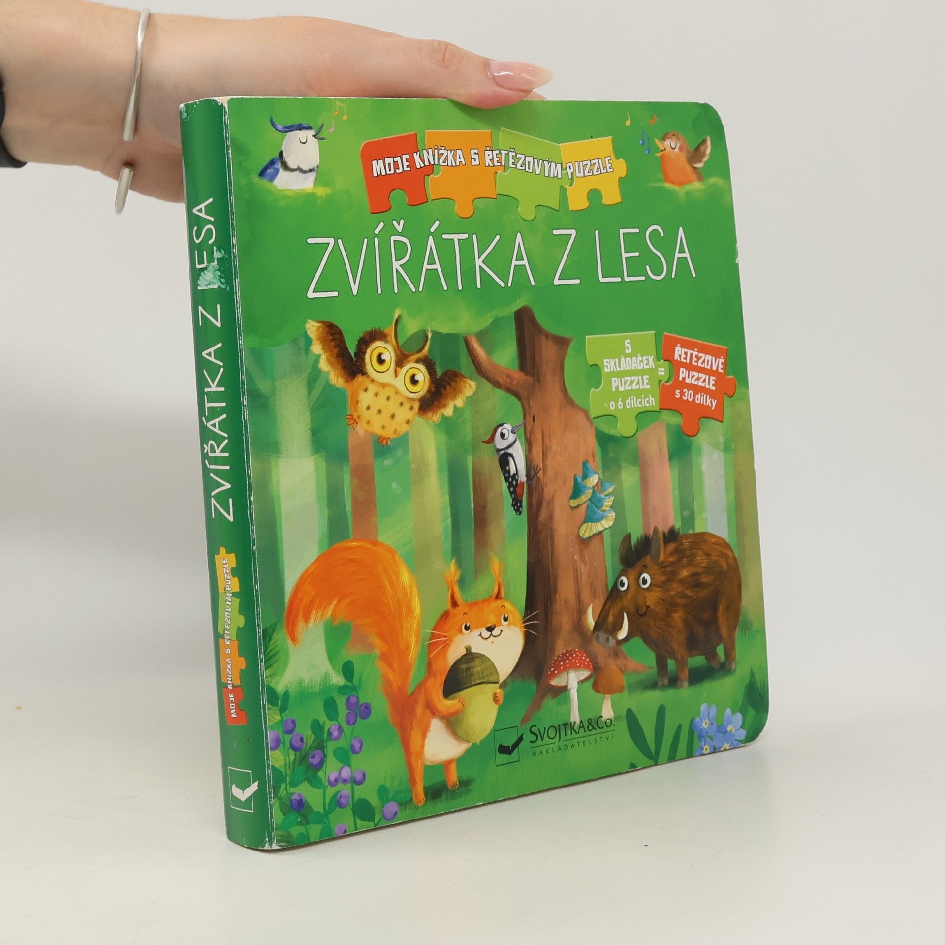 Carola von Kessel Zvířátka z lesa