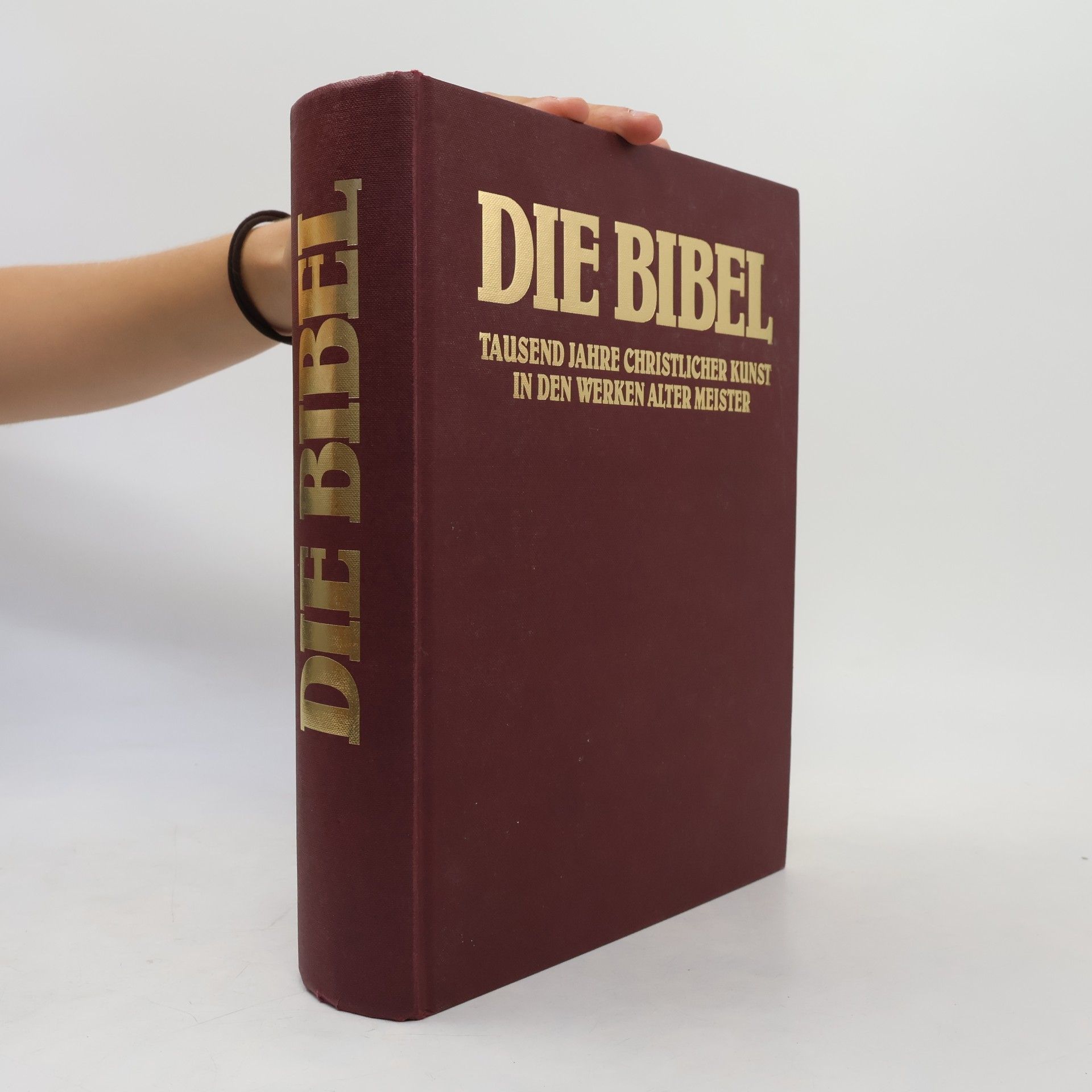 Various authors Die Bibel : Tausend Jahre christlicher Kunst in den Werken alter Meister