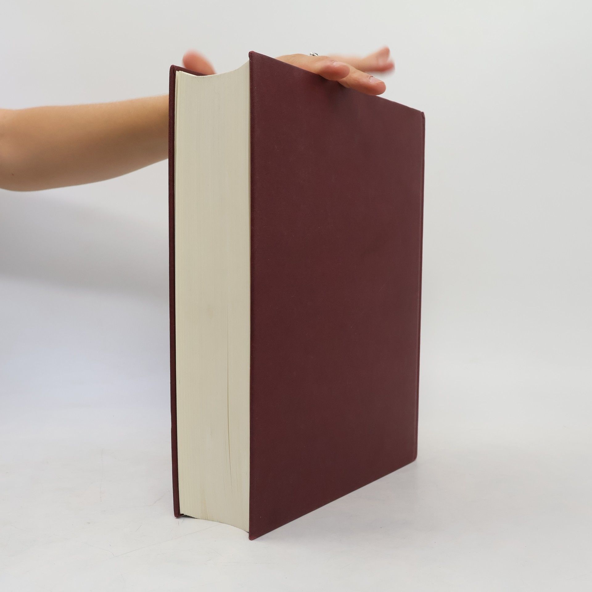 Various authors Die Bibel : Tausend Jahre christlicher Kunst in den Werken alter Meister