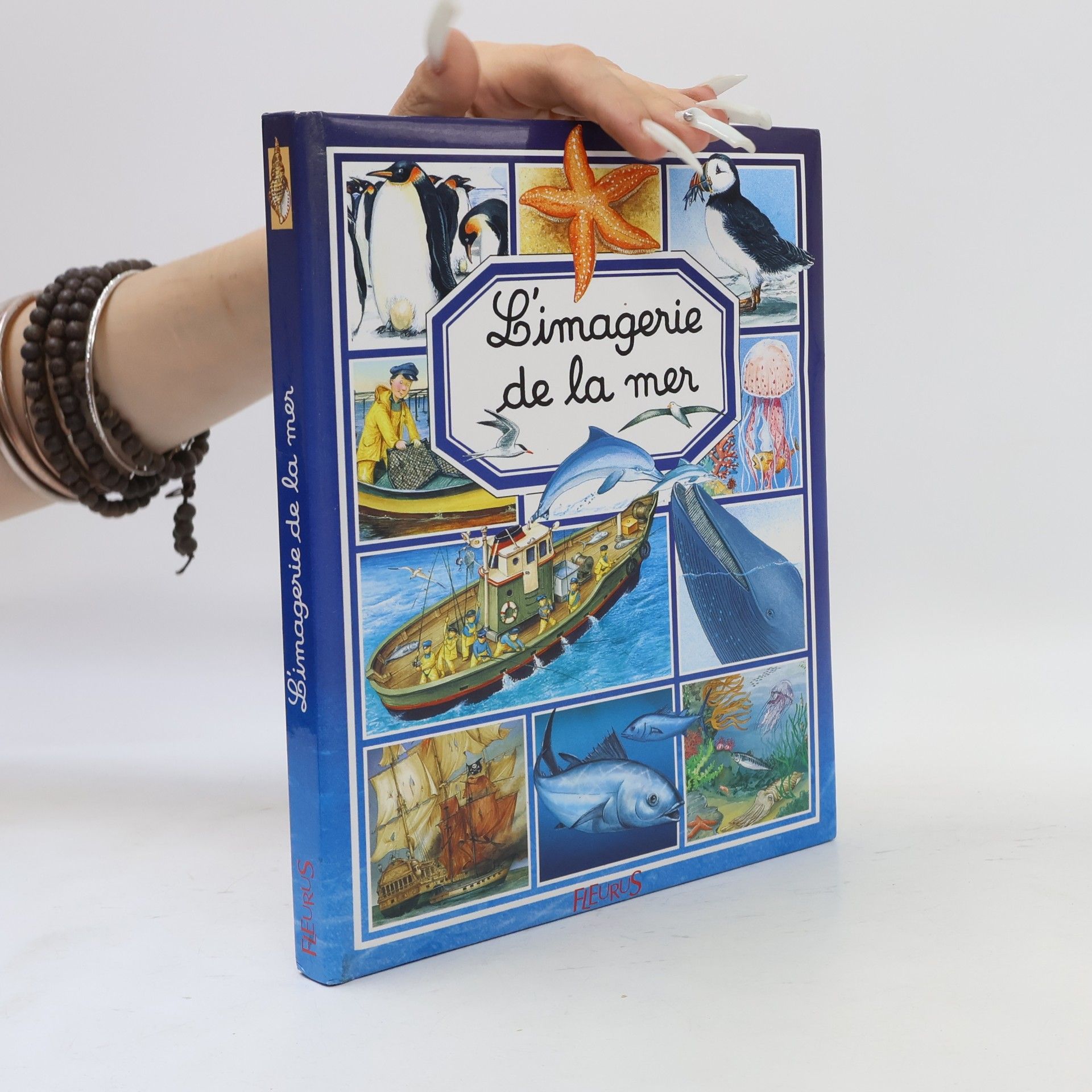 L'imagerie de la mer