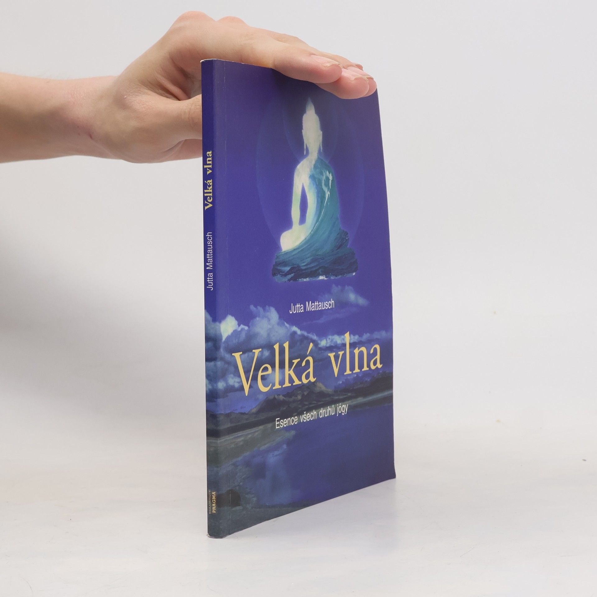 Jutta Mattausch Velká vlna. Esence všech druhů jógy
