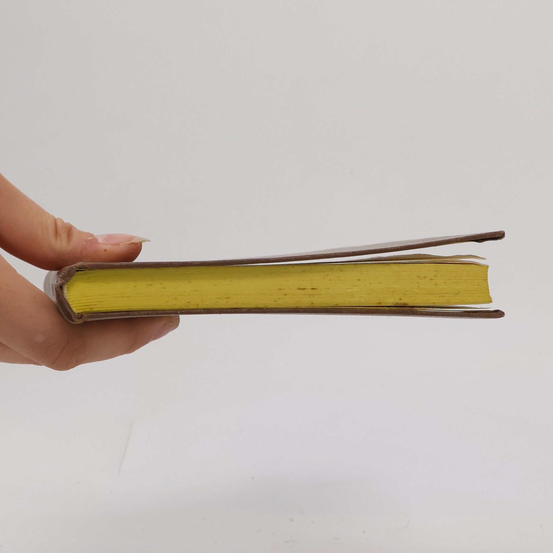 Vladimir Iljič Lenin O literatuře