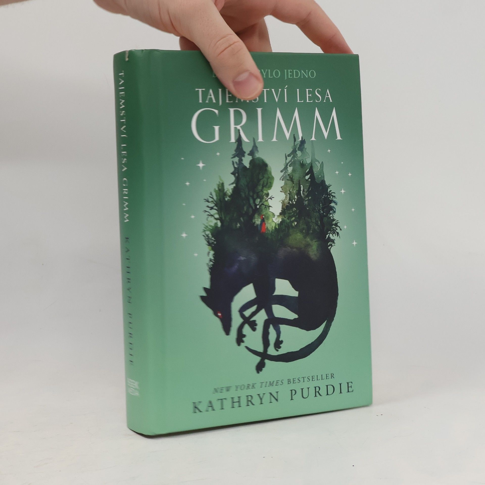 Kathryn Purdie Tajemství lesa Grimm