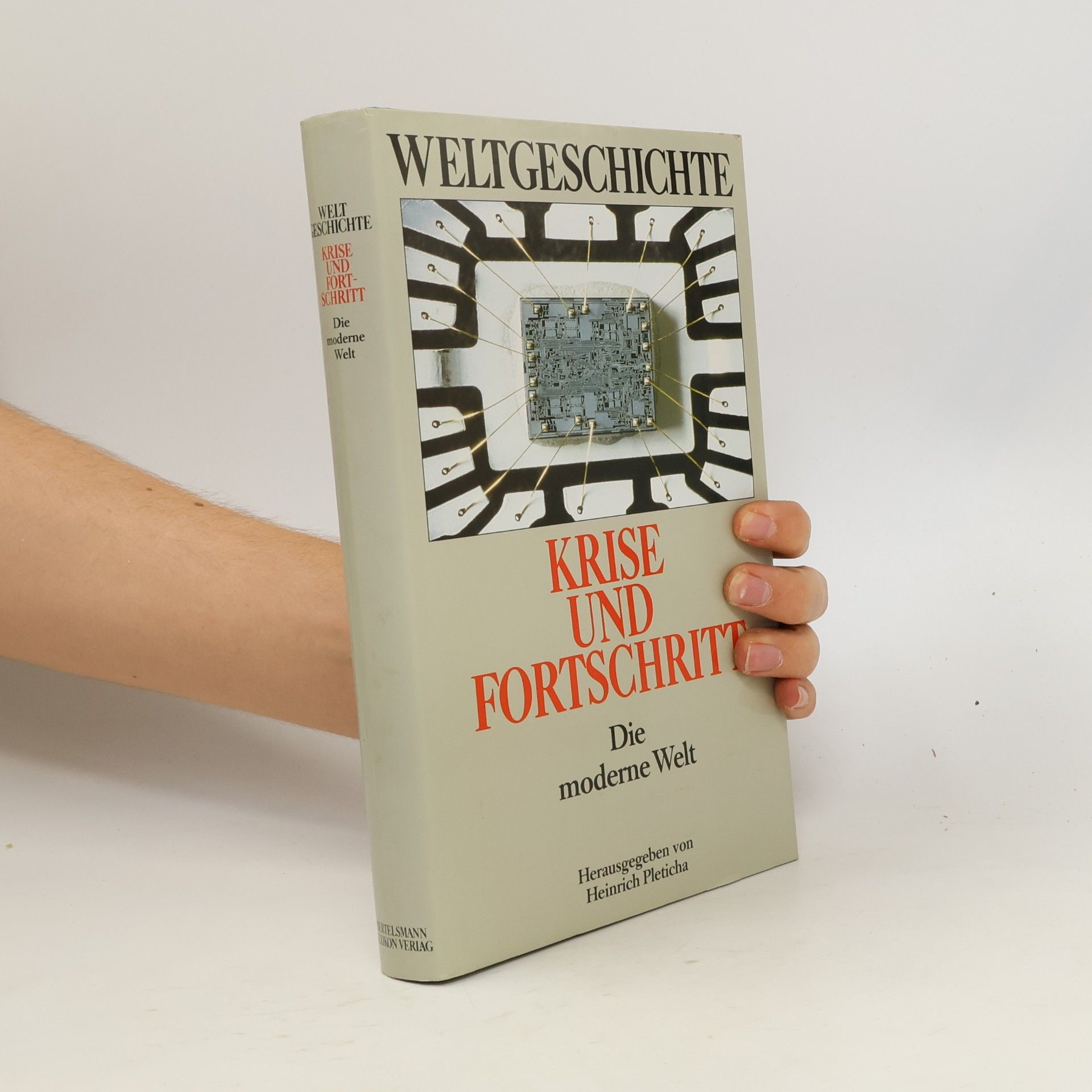 Krise und Fortschritt. Die moderne Welt