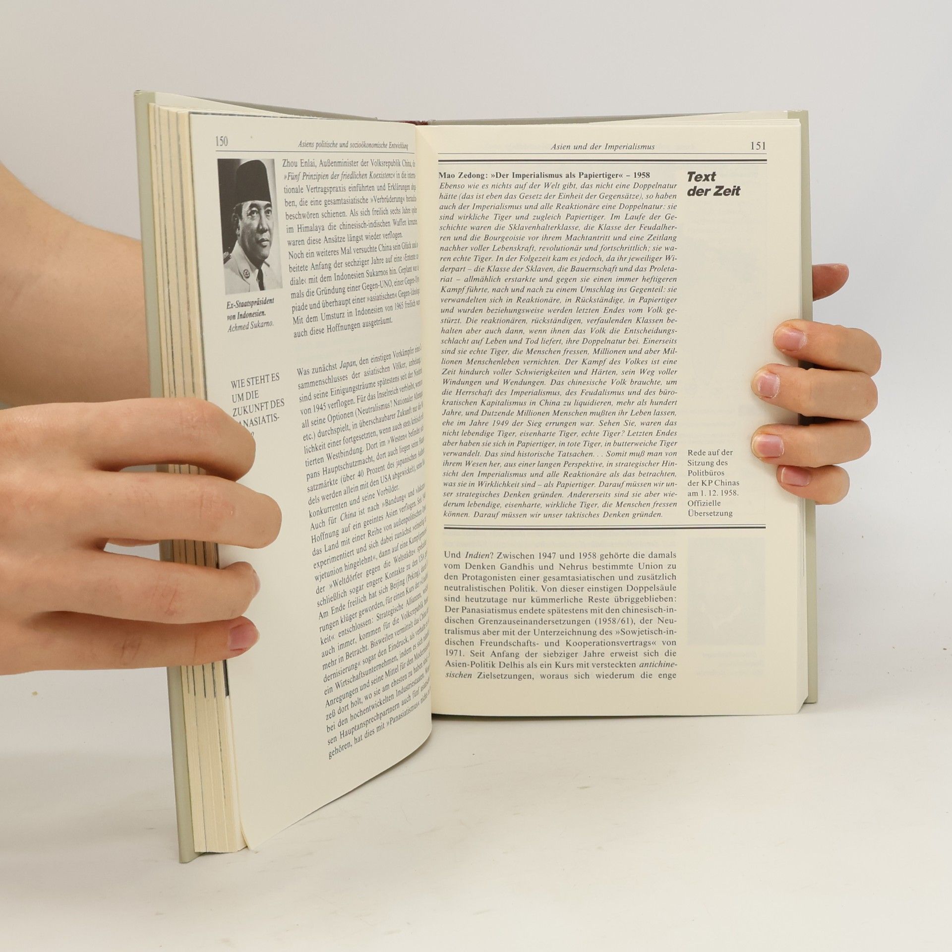 Heinrich Pleticha Krise und Fortschritt. Die moderne Welt
