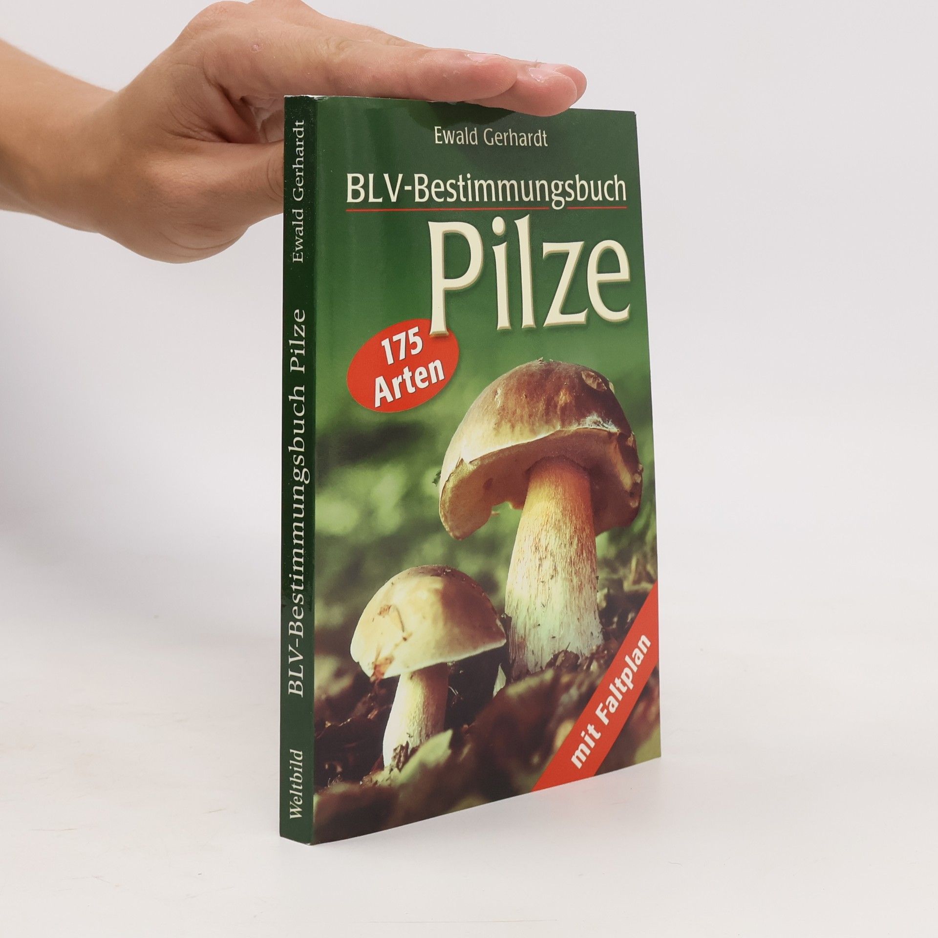 Ewald Gerhardt BLV-Bestimmungsbuch Pilze