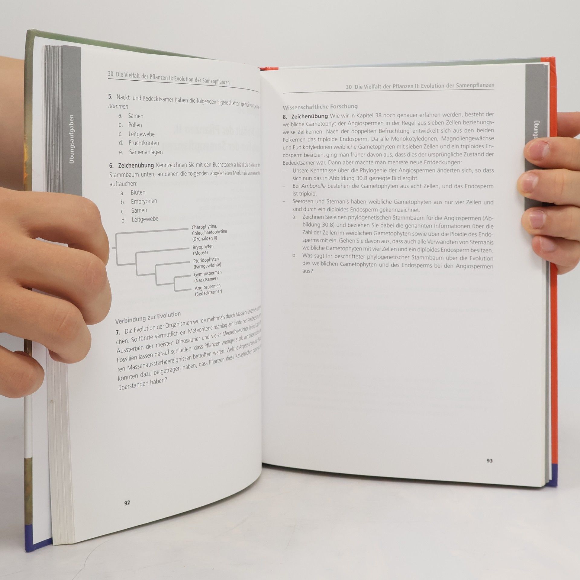 Neil A. Campbell Campbell Biologie Gymnasiale Oberstufe - Übungsbuch - 2., aktualisierte Auflage