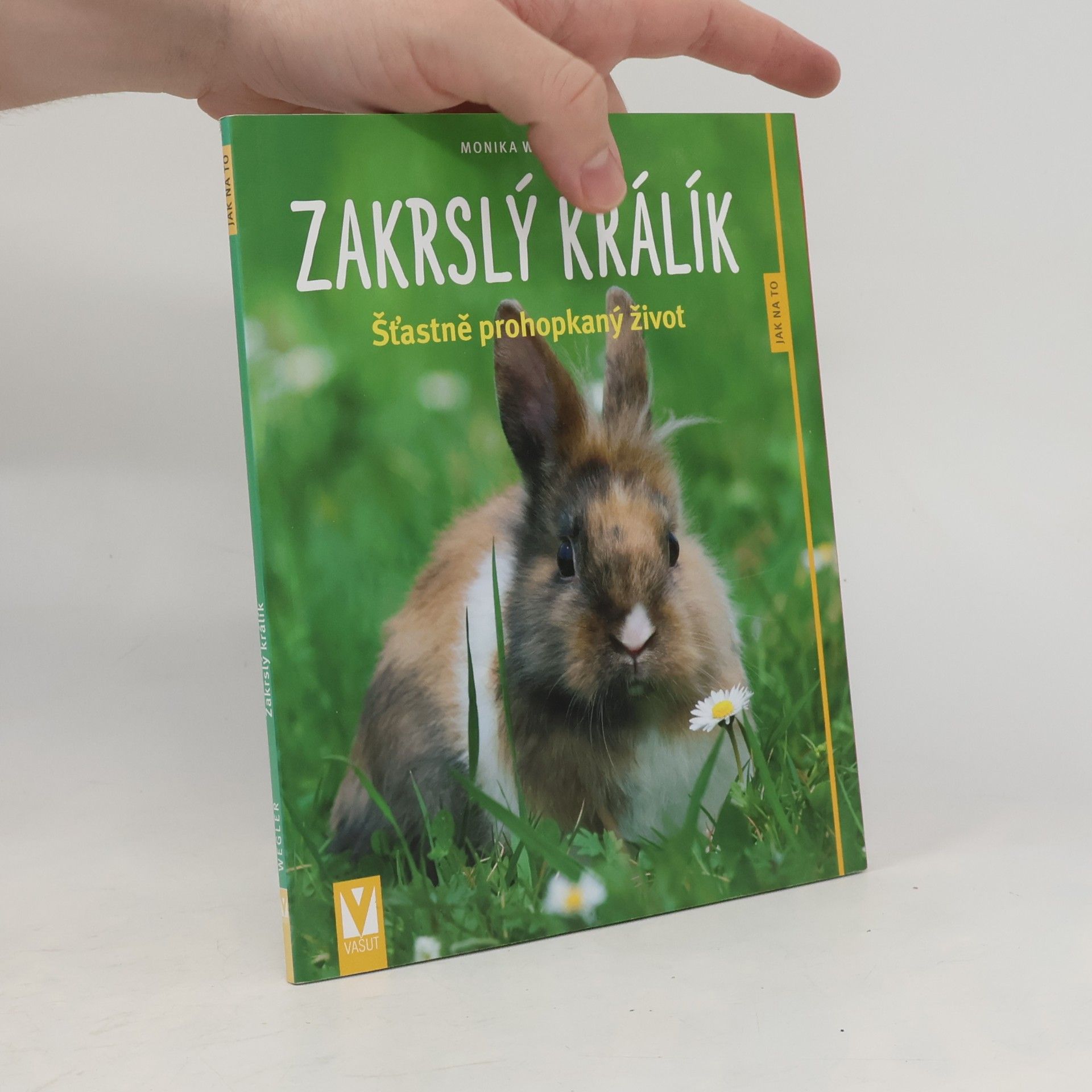 Monika Wegler Zakrslý králík