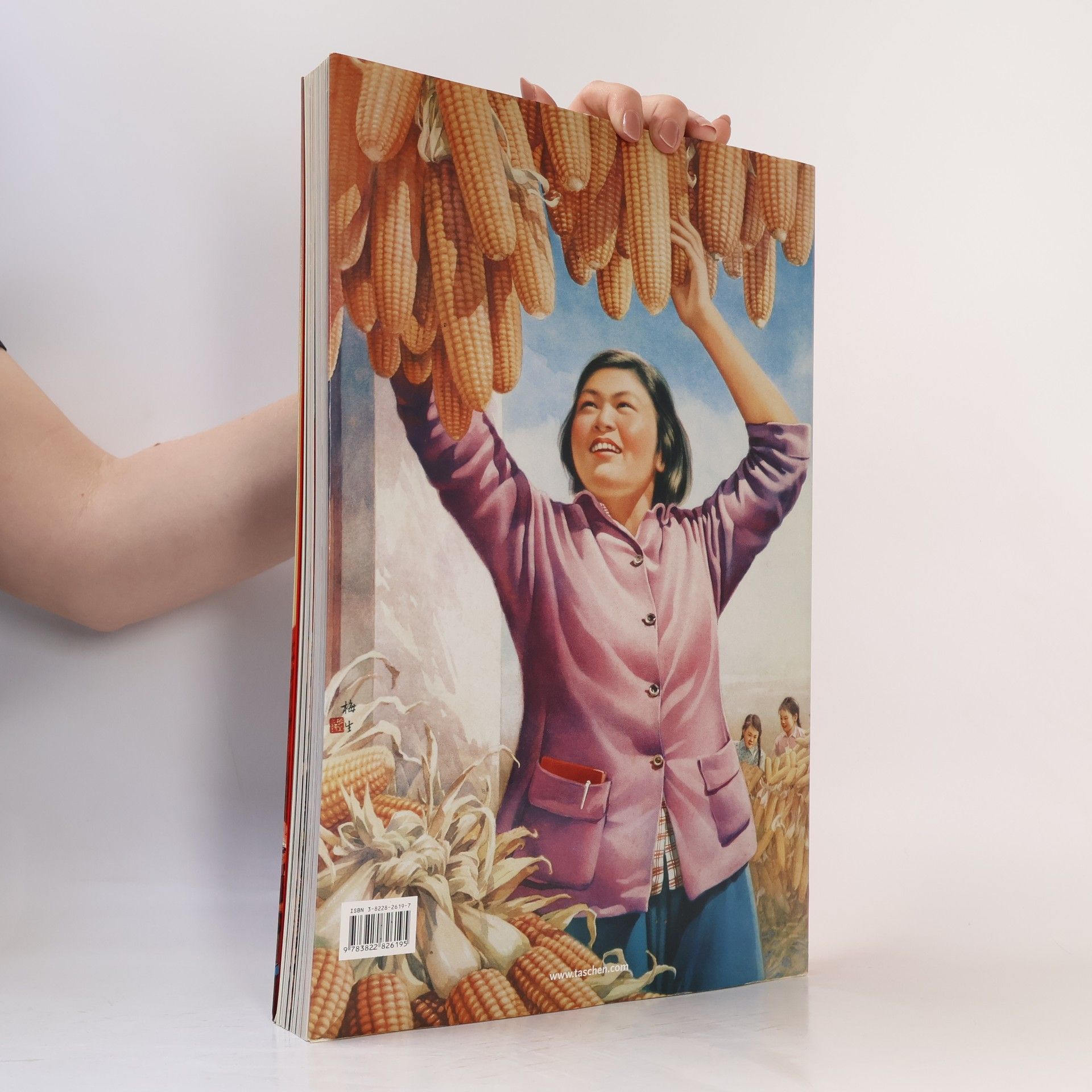 Chinese propaganda posters