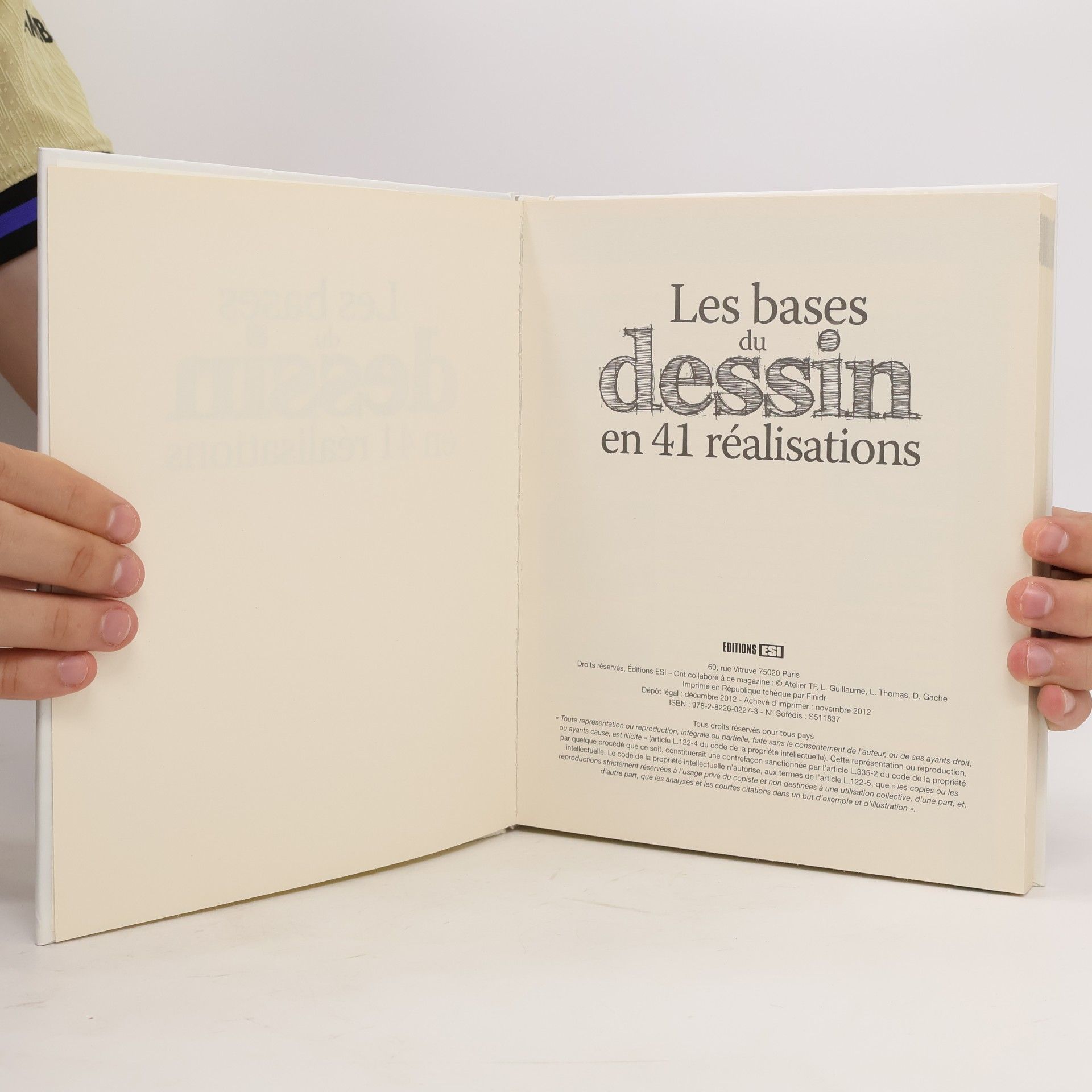 Lamia Guillaume Les bases du dessin en 41 réalisations