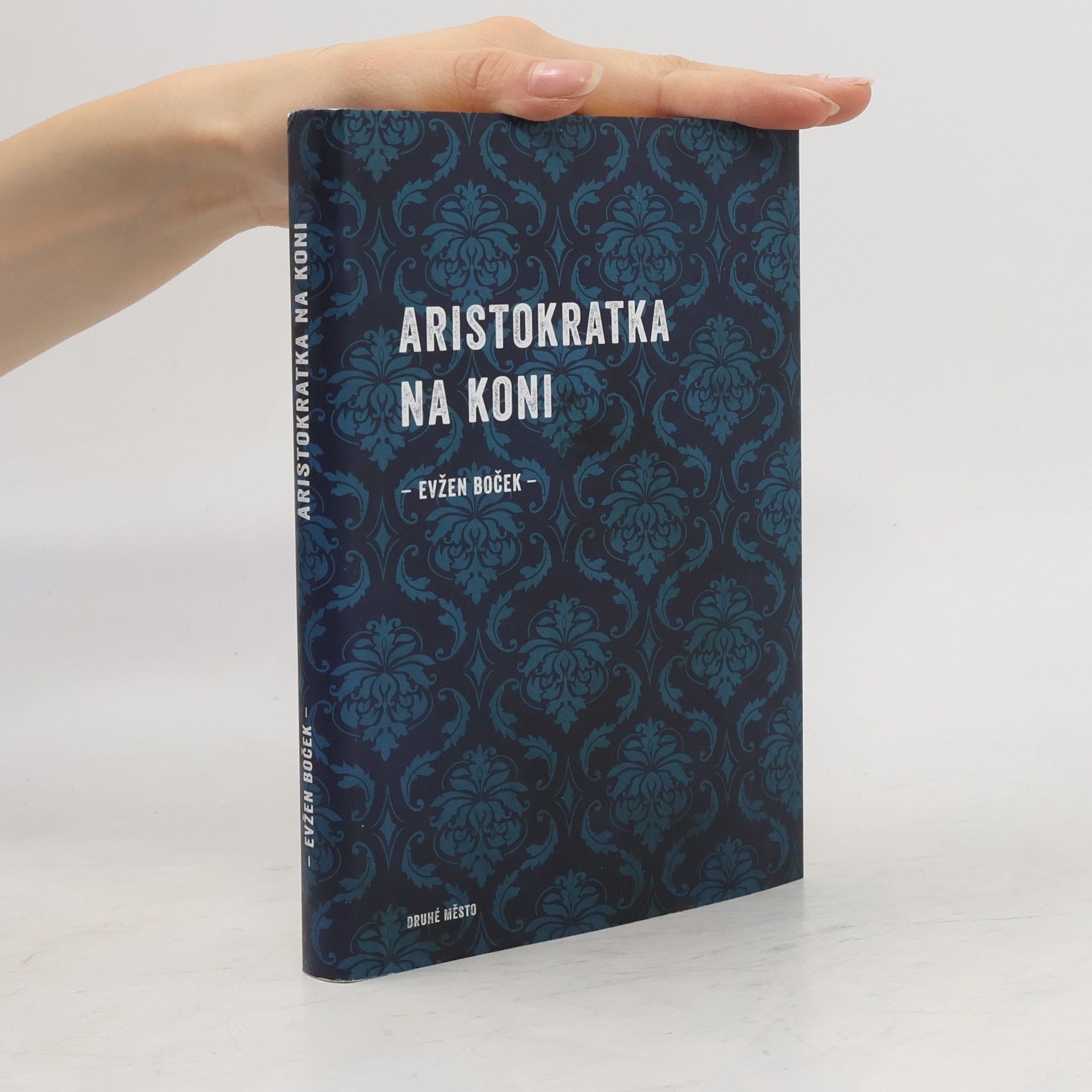 Evžen Boček Aristokratka na koni