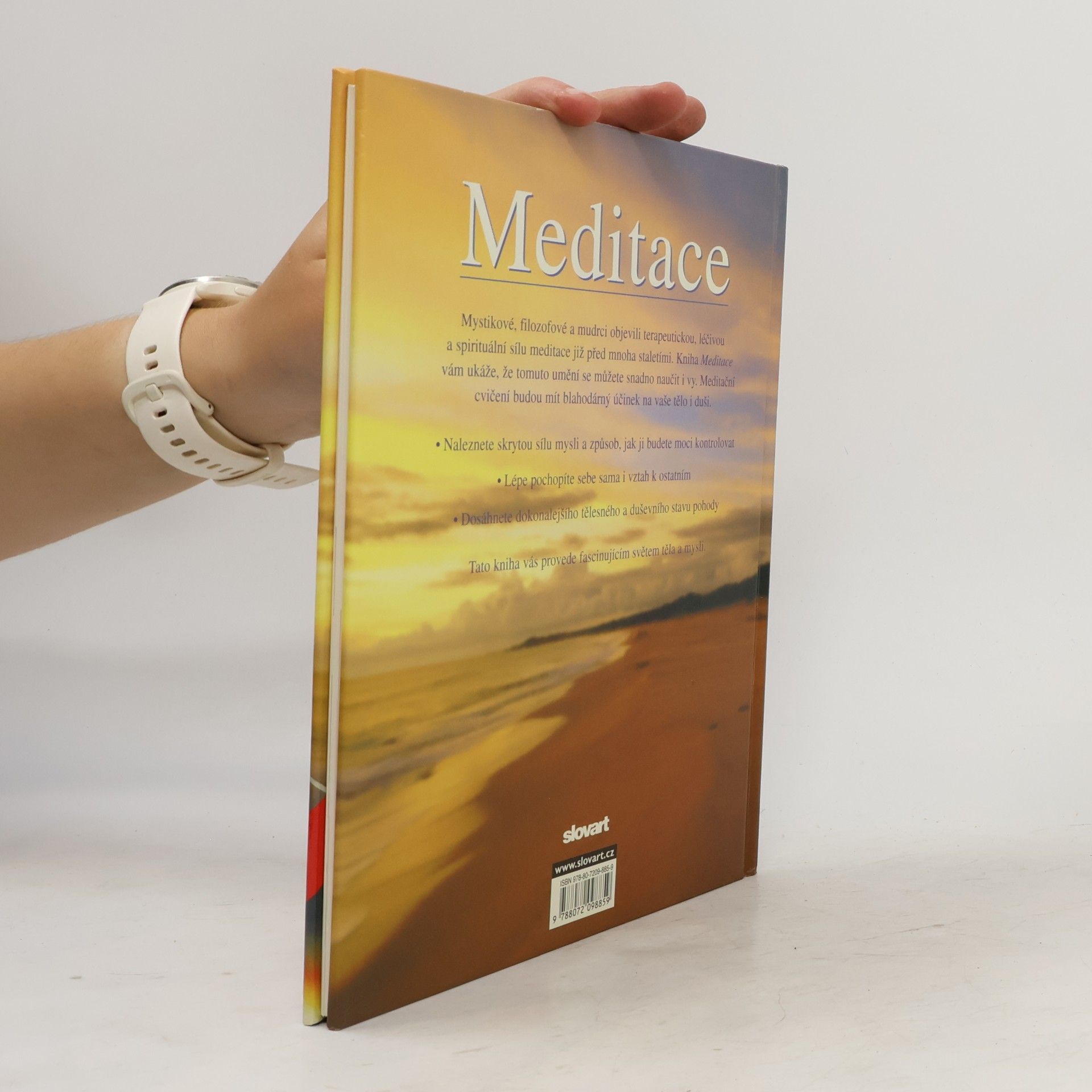 Lorraine Turner Meditace