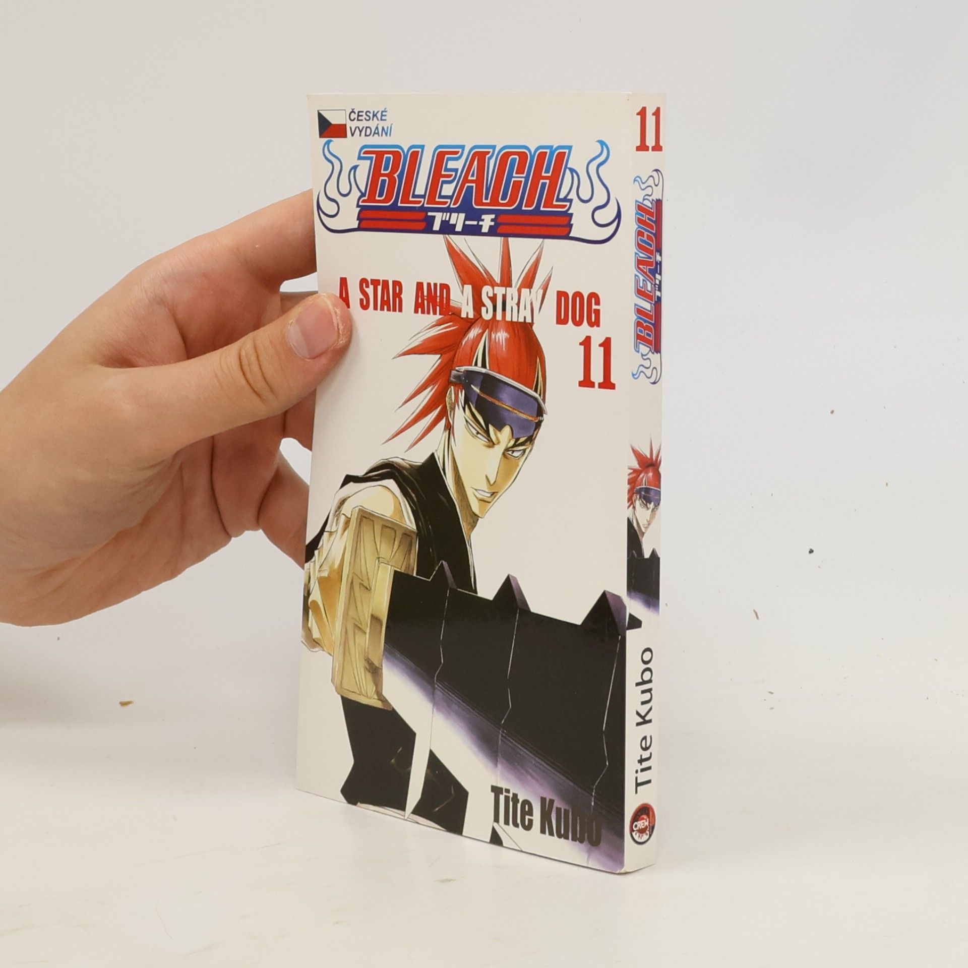 Tite Kubo Bleach 11: A star and a stray dog