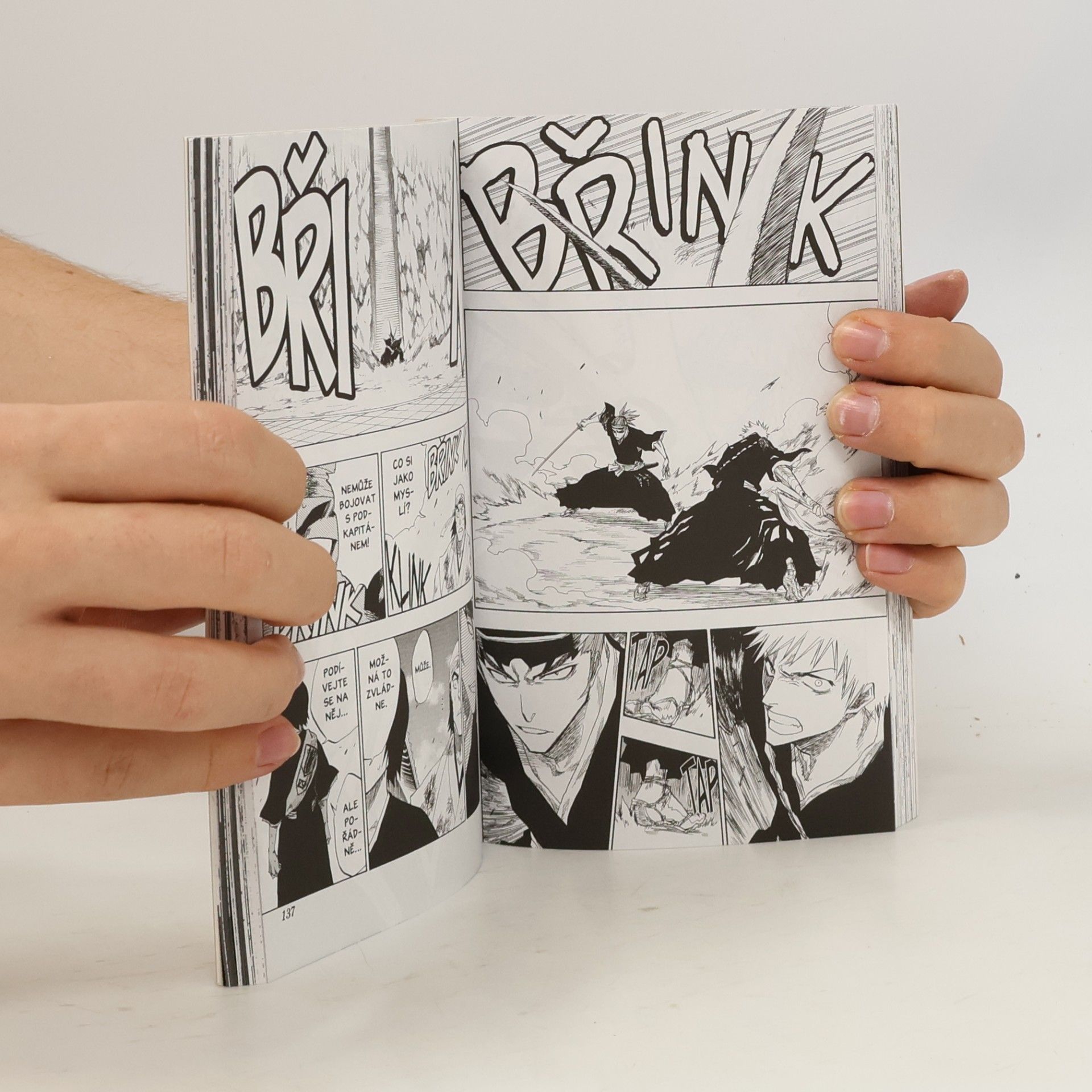 Tite Kubo Bleach 11: A star and a stray dog