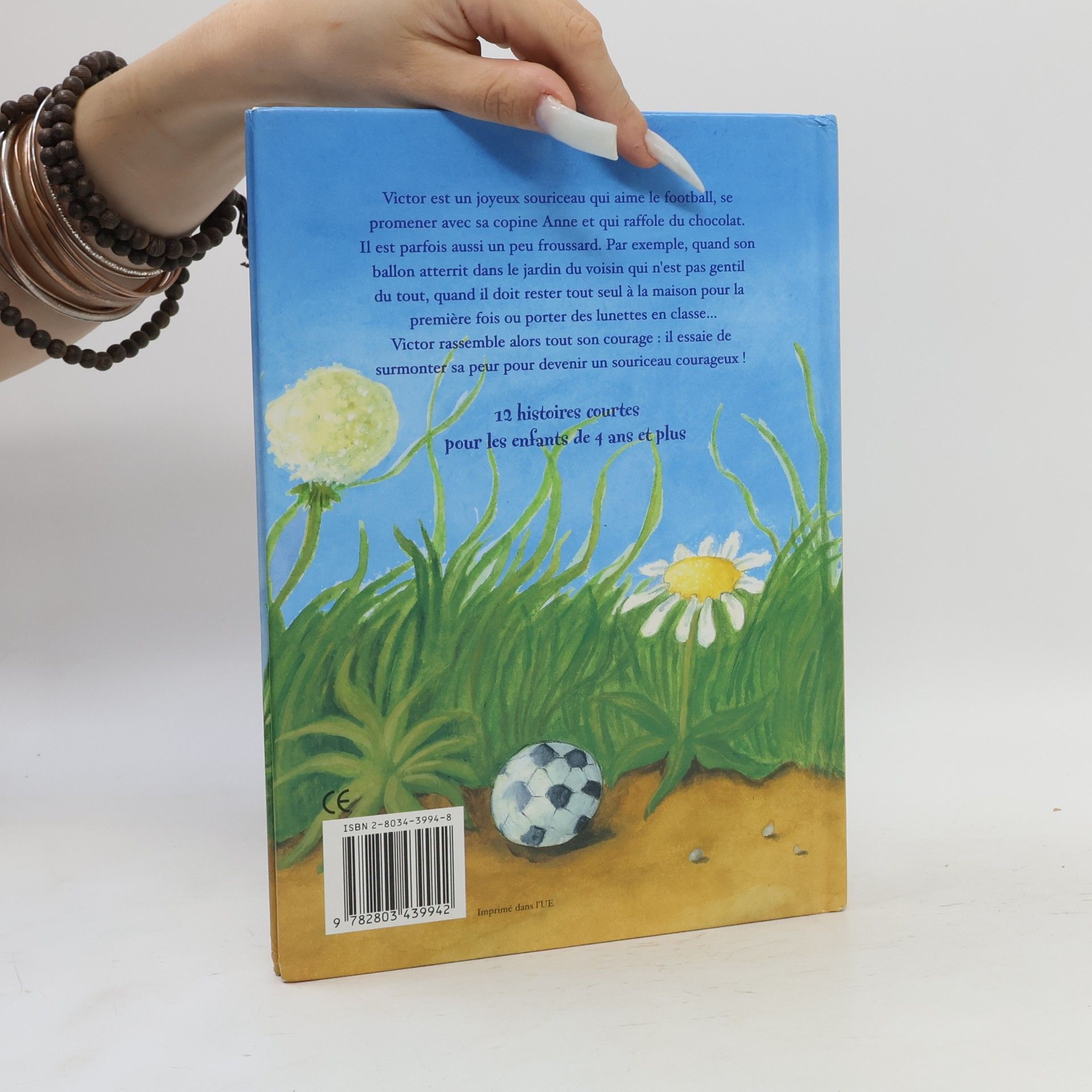 Sarah Bosse Petites histoires au pays des souris