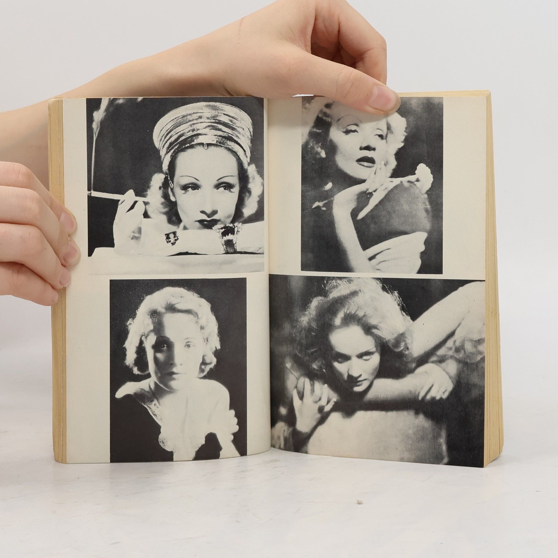 Leslie Frewin Marlene Dietrich