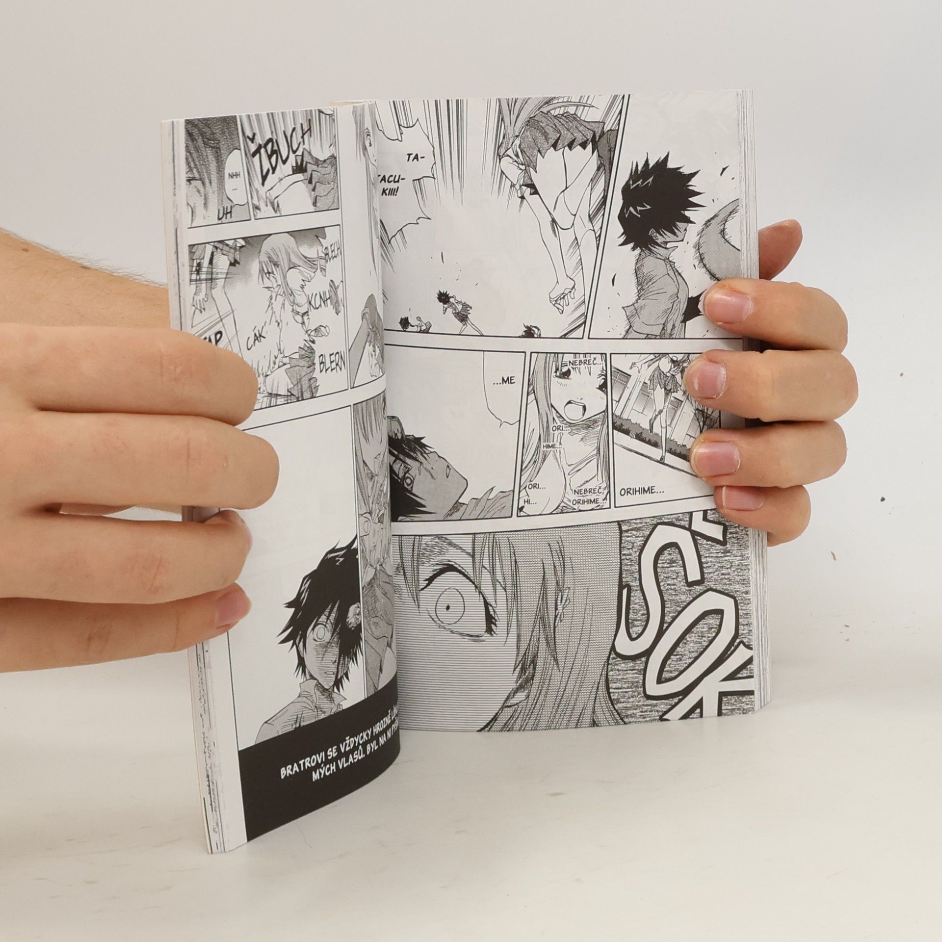 Tite Kubo Bleach. 5, Rightarm of the giant. česky