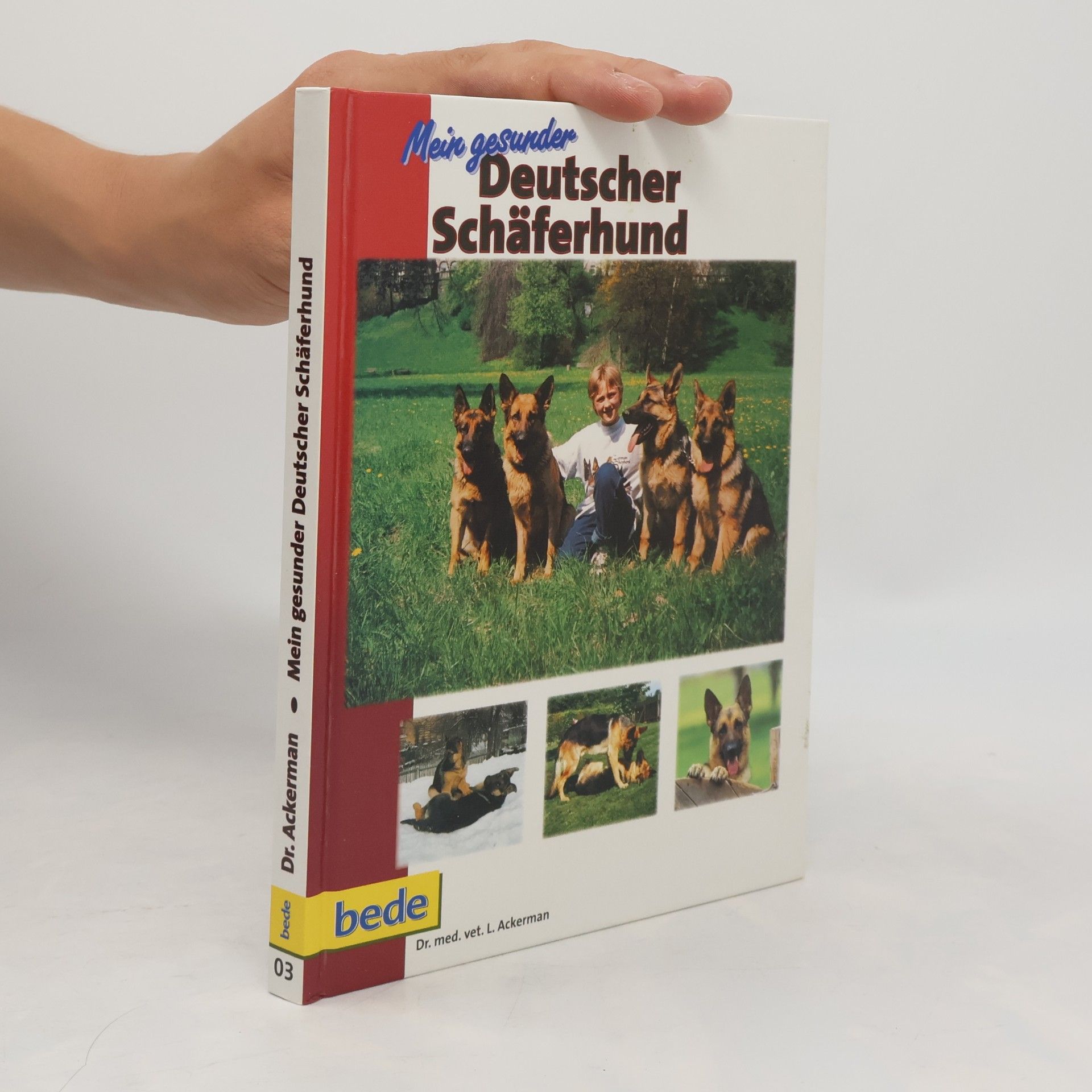Mein gesunder Deutscher Schäferhund