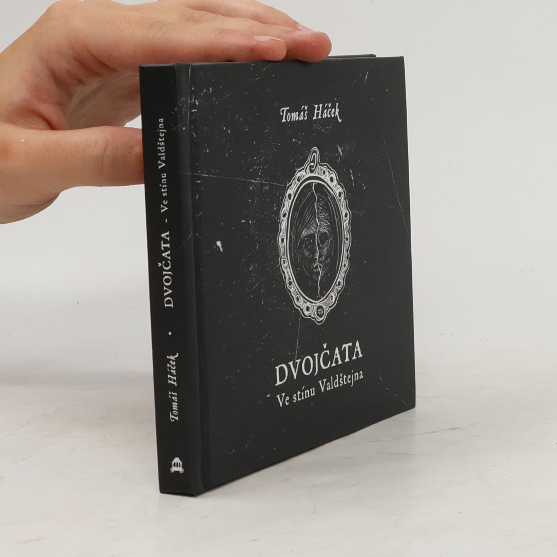 Tomáš Háček Dvojčata. Ve stínu Valdštejna