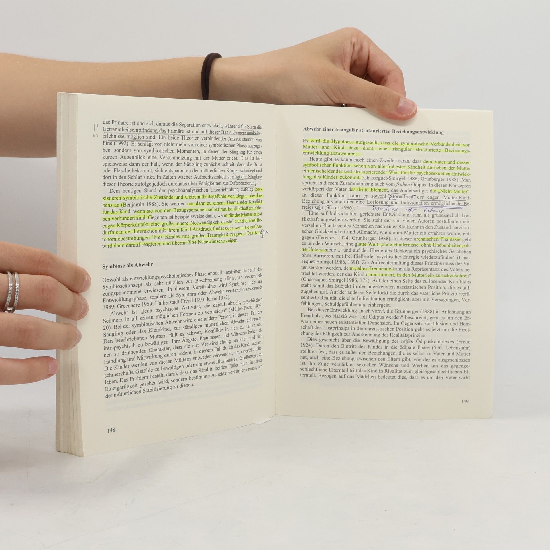 Kornelia Steinhardt Psychoanalytische Pädagogik: Die Bedeutung des Vaters in der frühen Kindheit