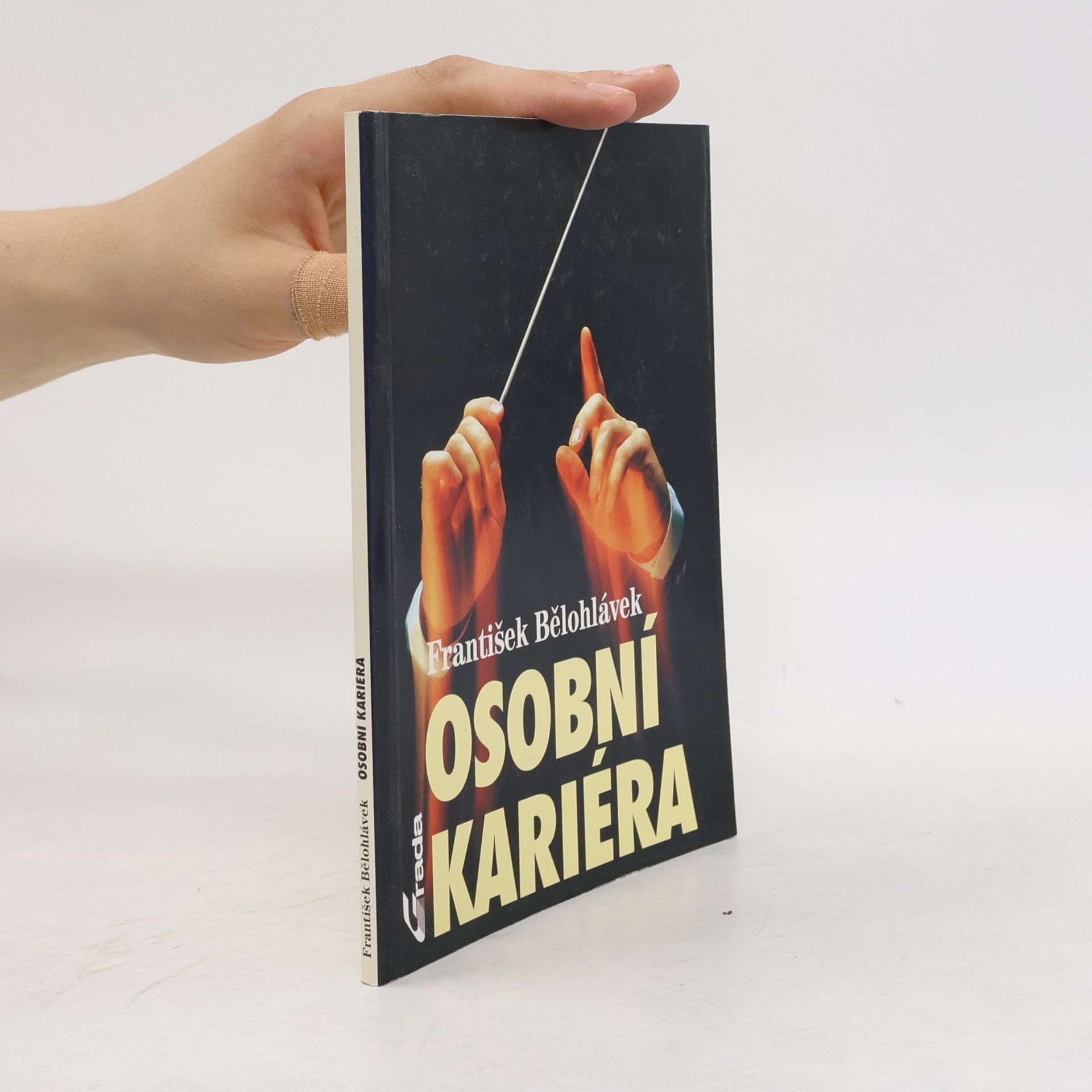 František Bělohlávek Osobní kariéra