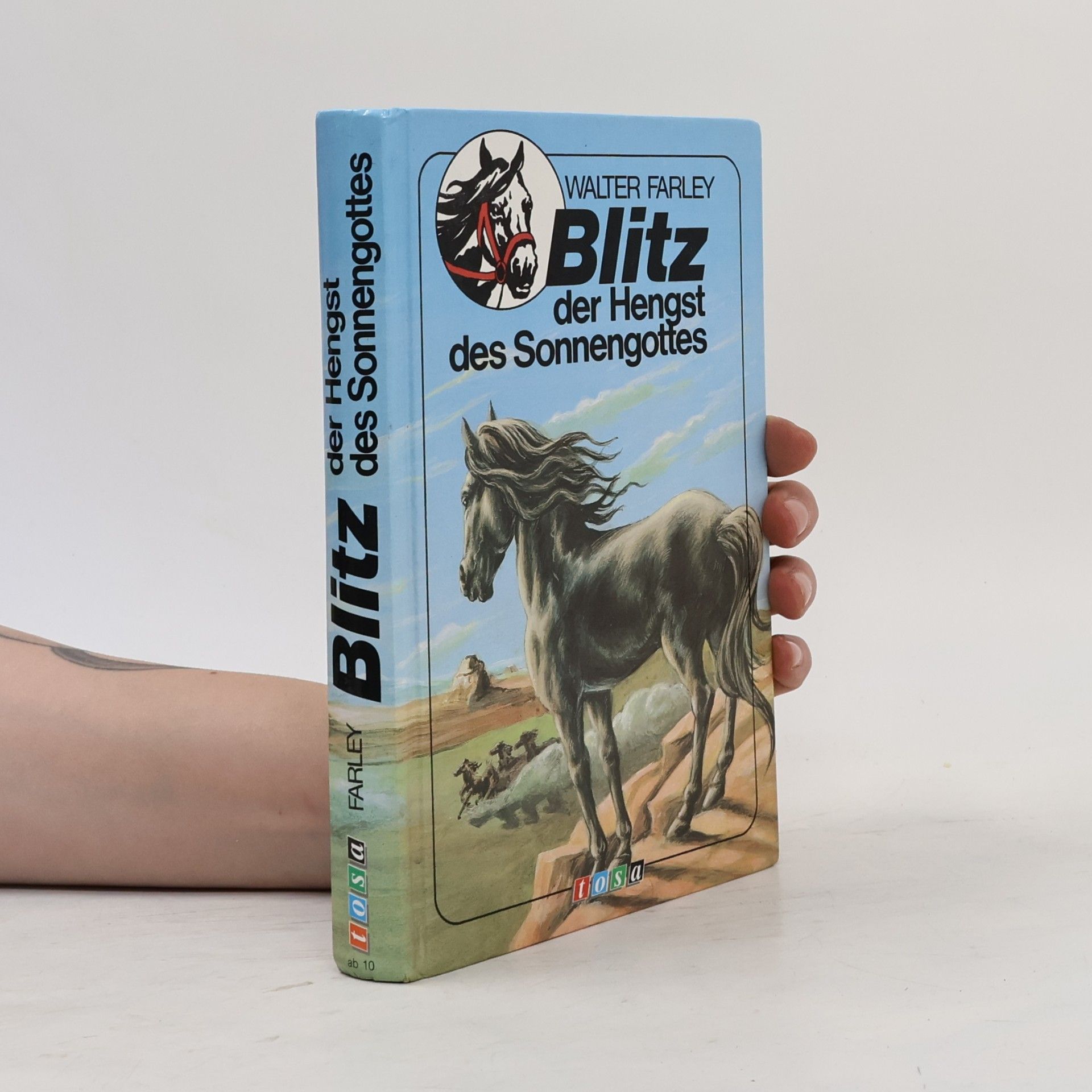 Walter Farley Blitz der Hengst des Sonnengottes