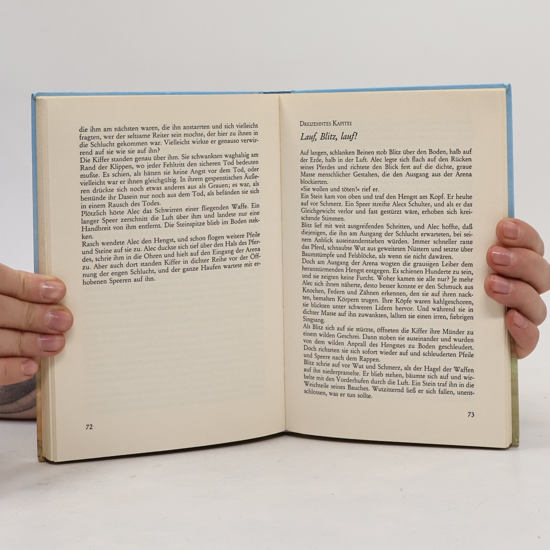 Walter Farley Blitz der Hengst des Sonnengottes