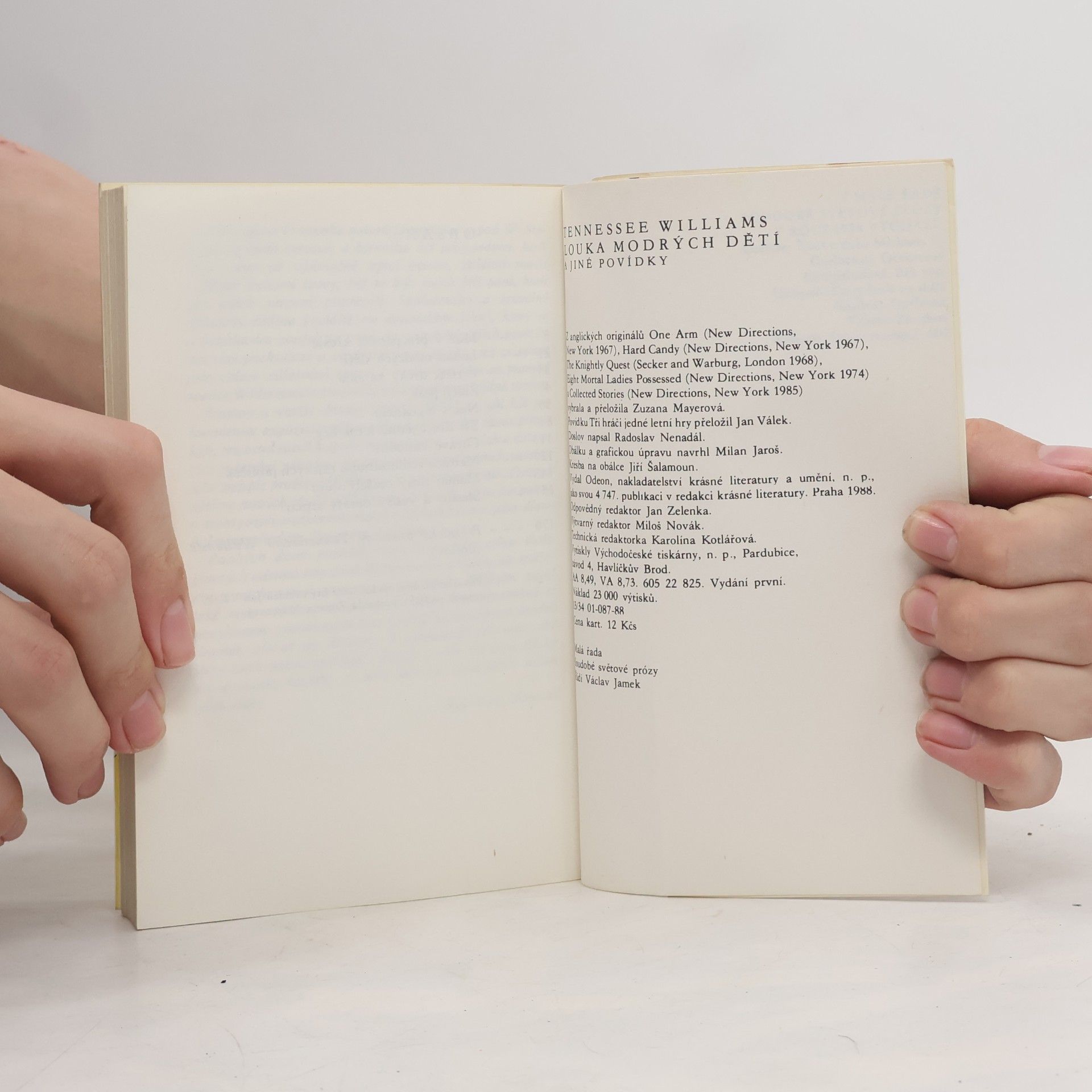 Tennessee Williams Louka modrých dětí