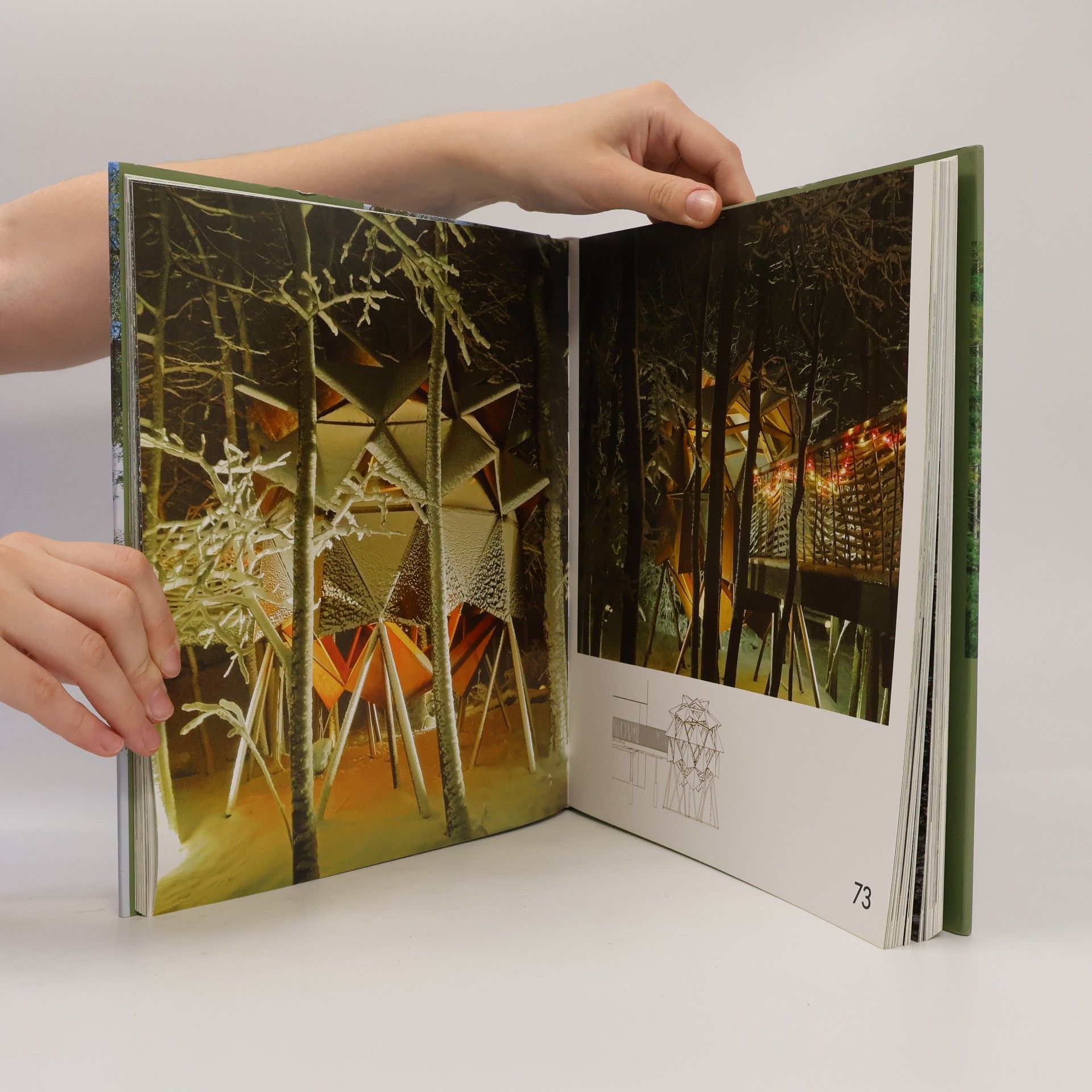 Sibylle Kramer Green Hidden And Above