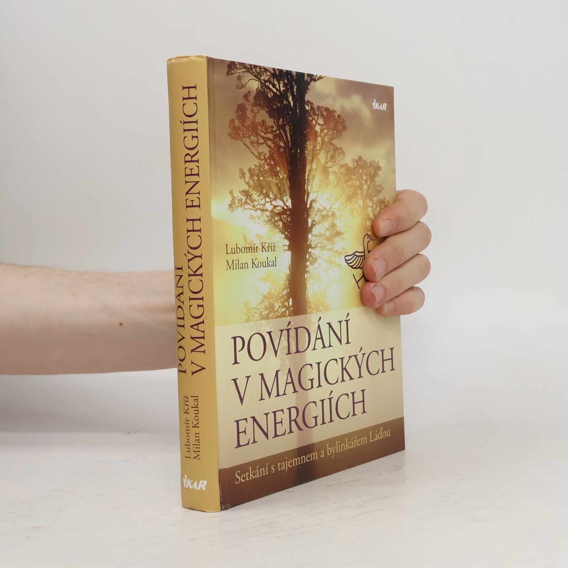 Lubomír Kříž Povídání v magických energiích